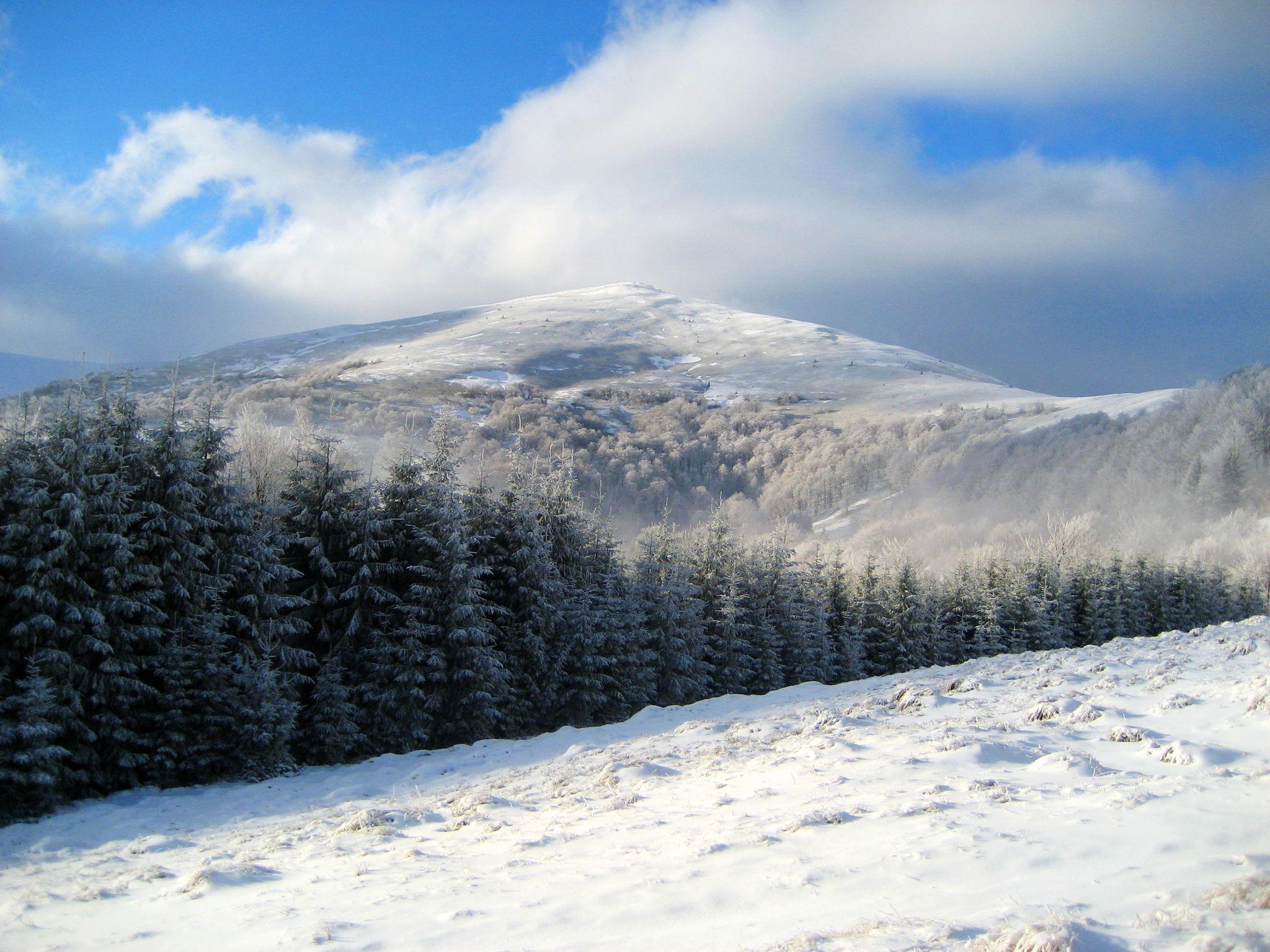 2048x1536 Desktop Wallpaper Zakarpattia Ukraine Spruce Winter 2048x1536