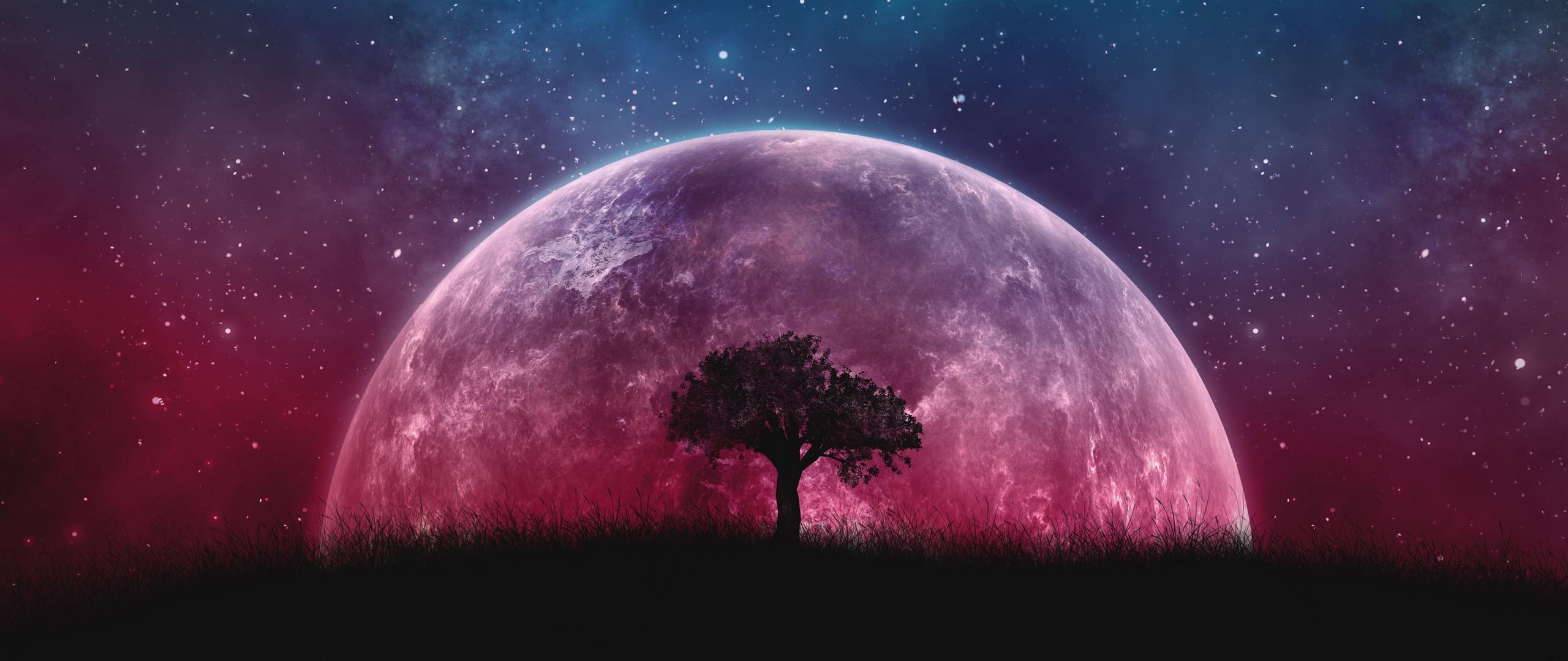 2560x1080 Hình nền HD https://wallpaperaccess.com/full/2586805.jpg