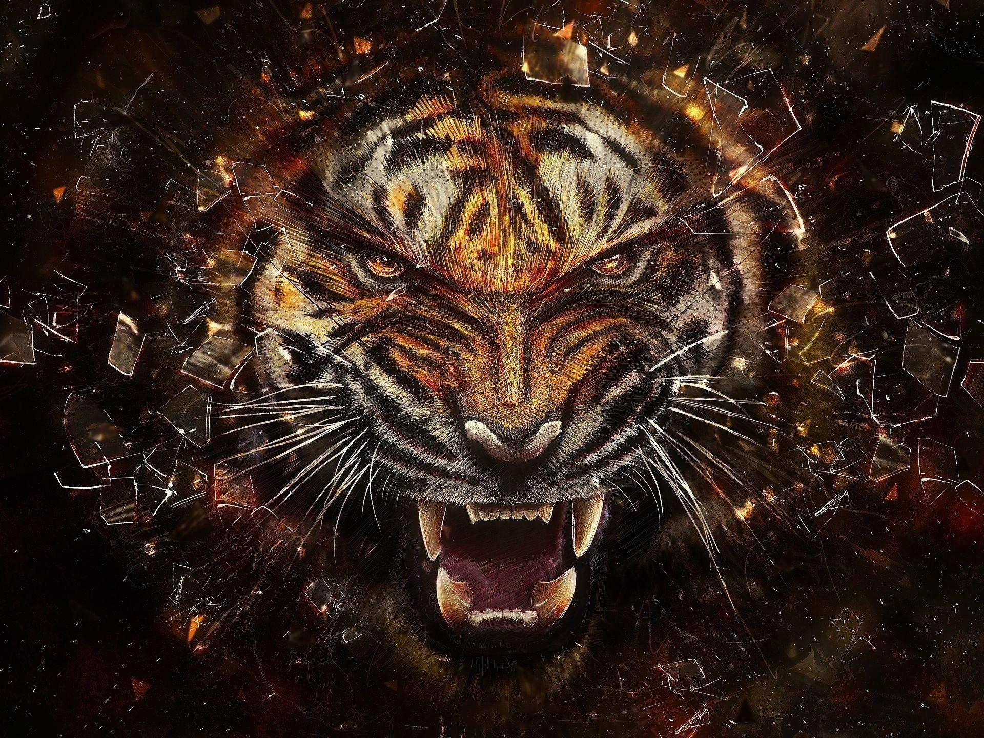 1920x1440 Cool Wallpaper of Tigers
