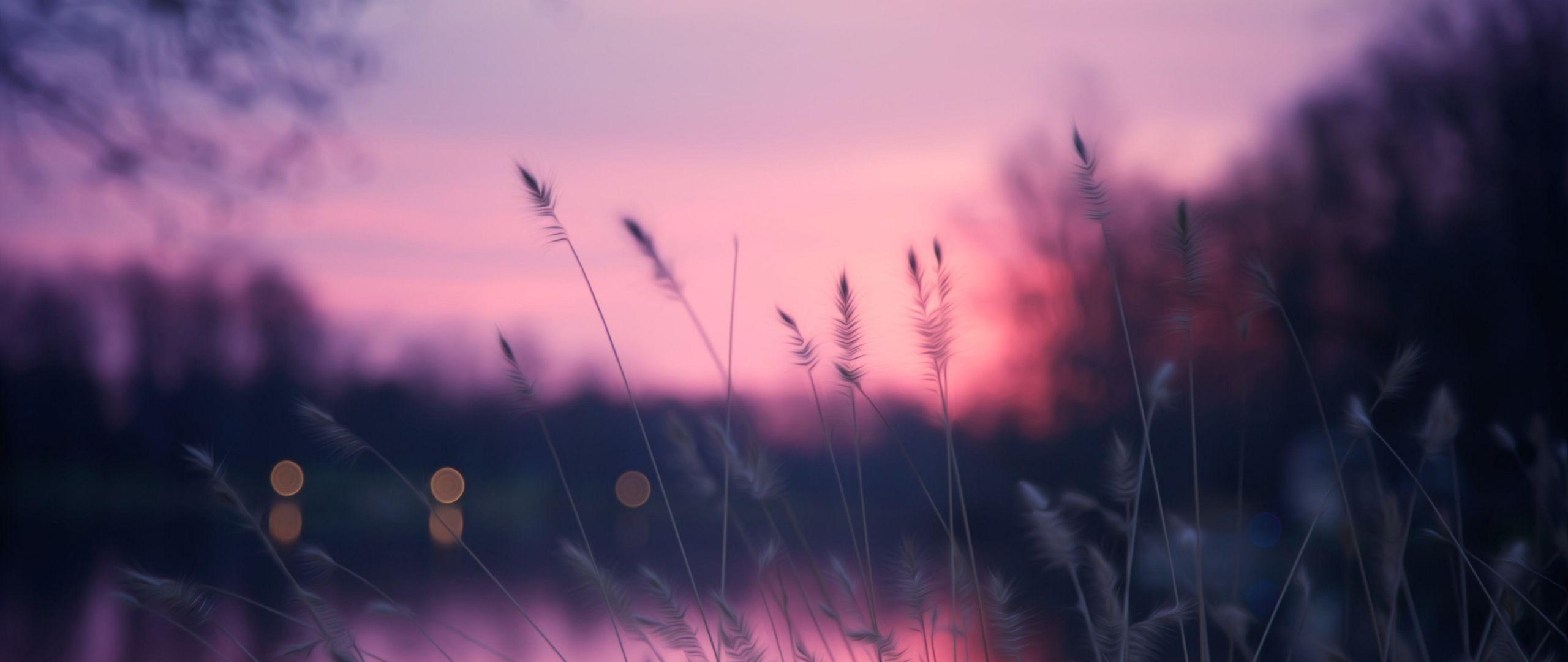 2560x1080 Download Lake, 4k, HD wallpaper, grass, sunset, purple Dual