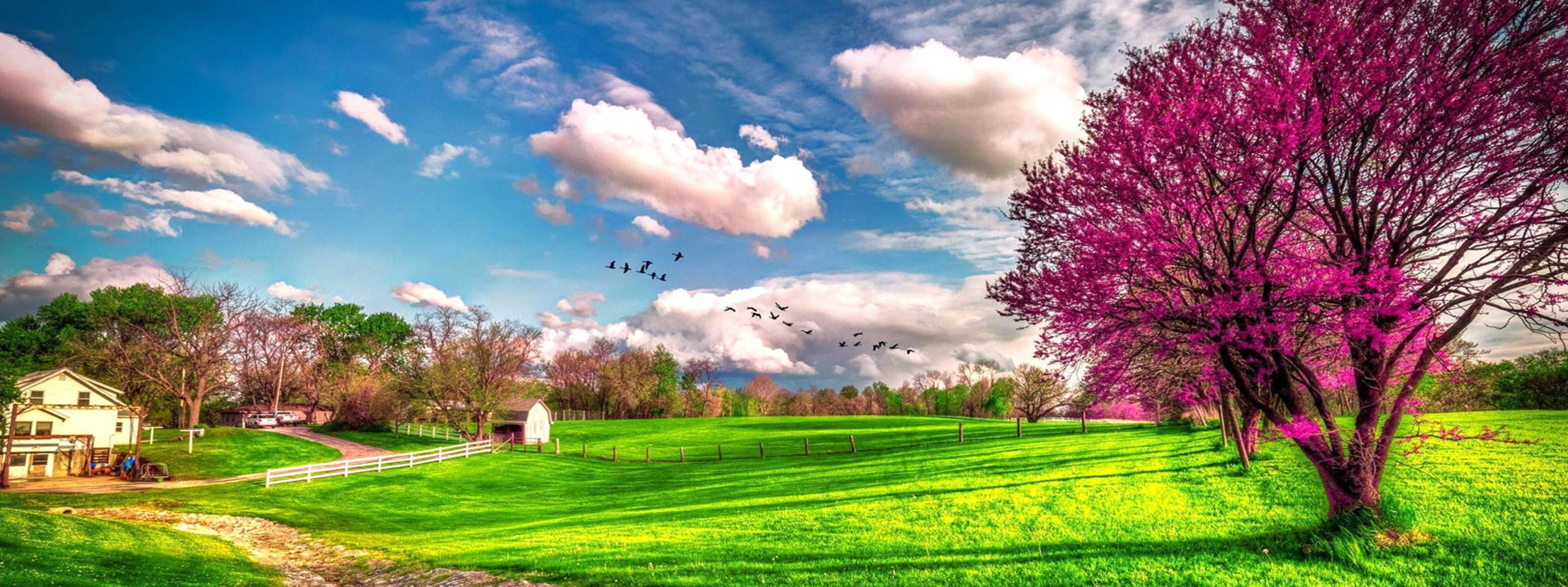 3200x1200 Wallpaper 3200X1200 HD
