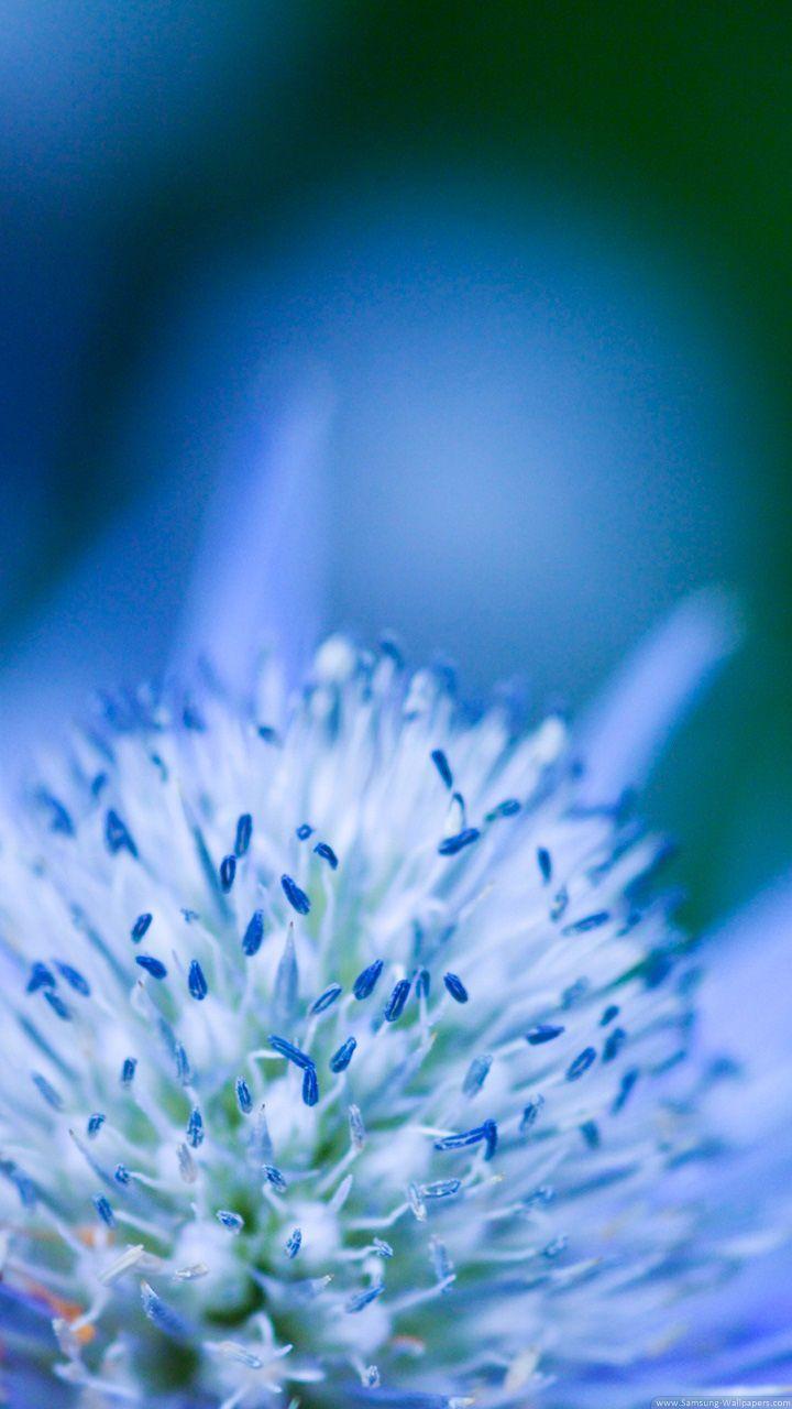 720x1280 Wallpaper Galaxy S3 720 X 1280 Wallpaper For Samsung Galaxy