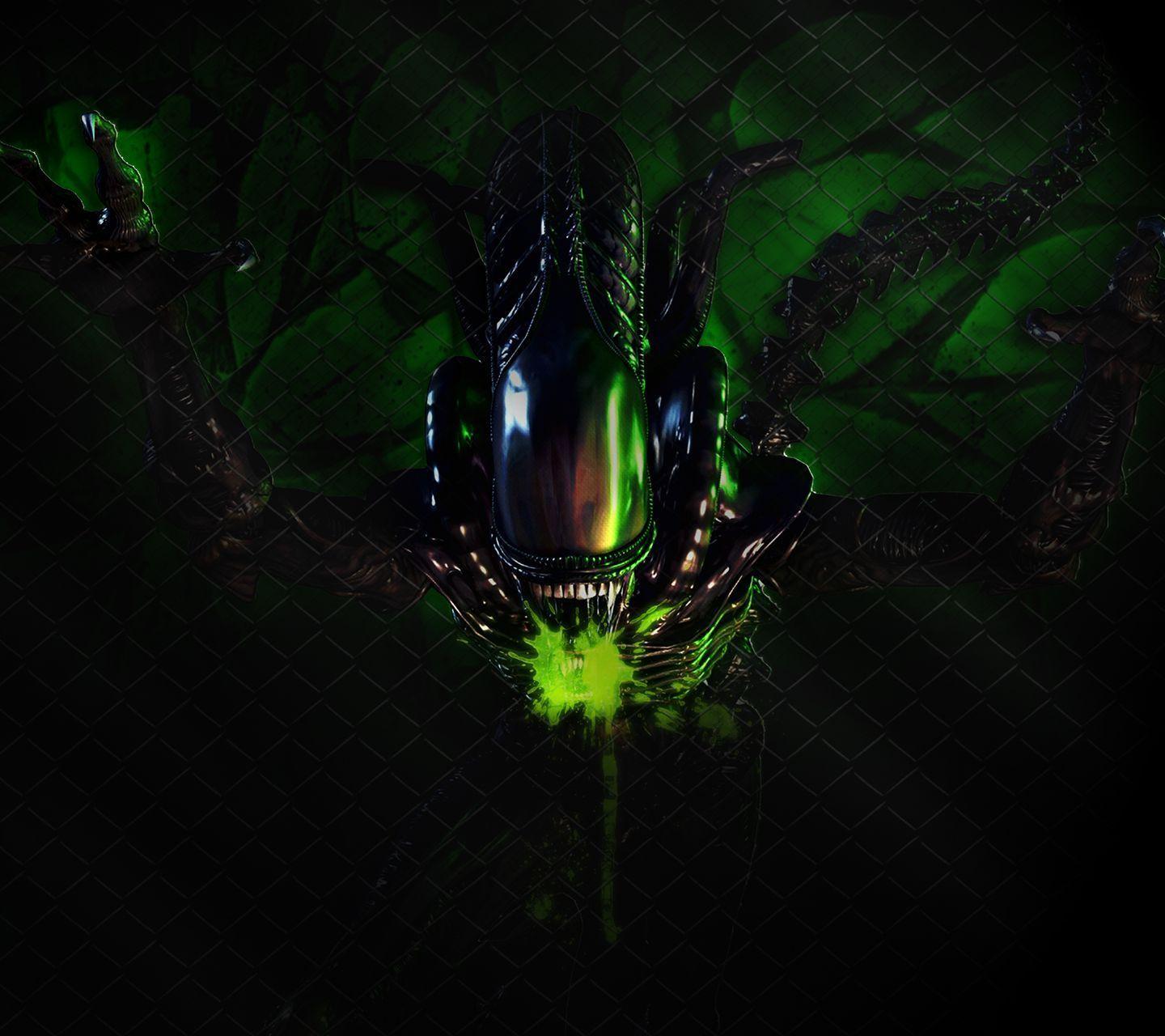 1440x1280 hot wallpaper for phone download