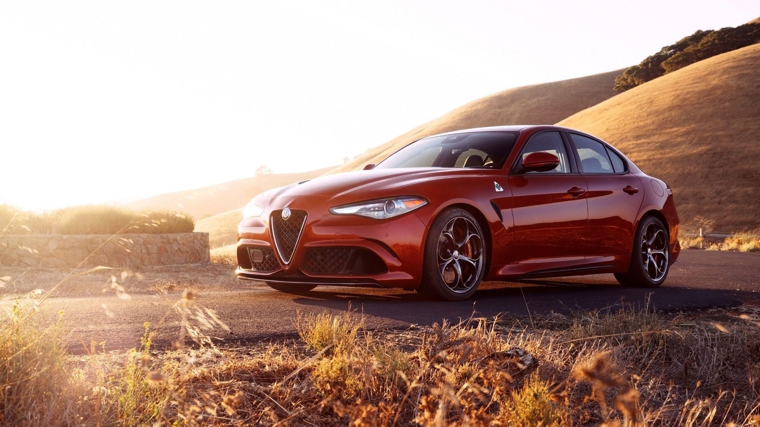 2560x1440 Alfa Romeo Wallpaper