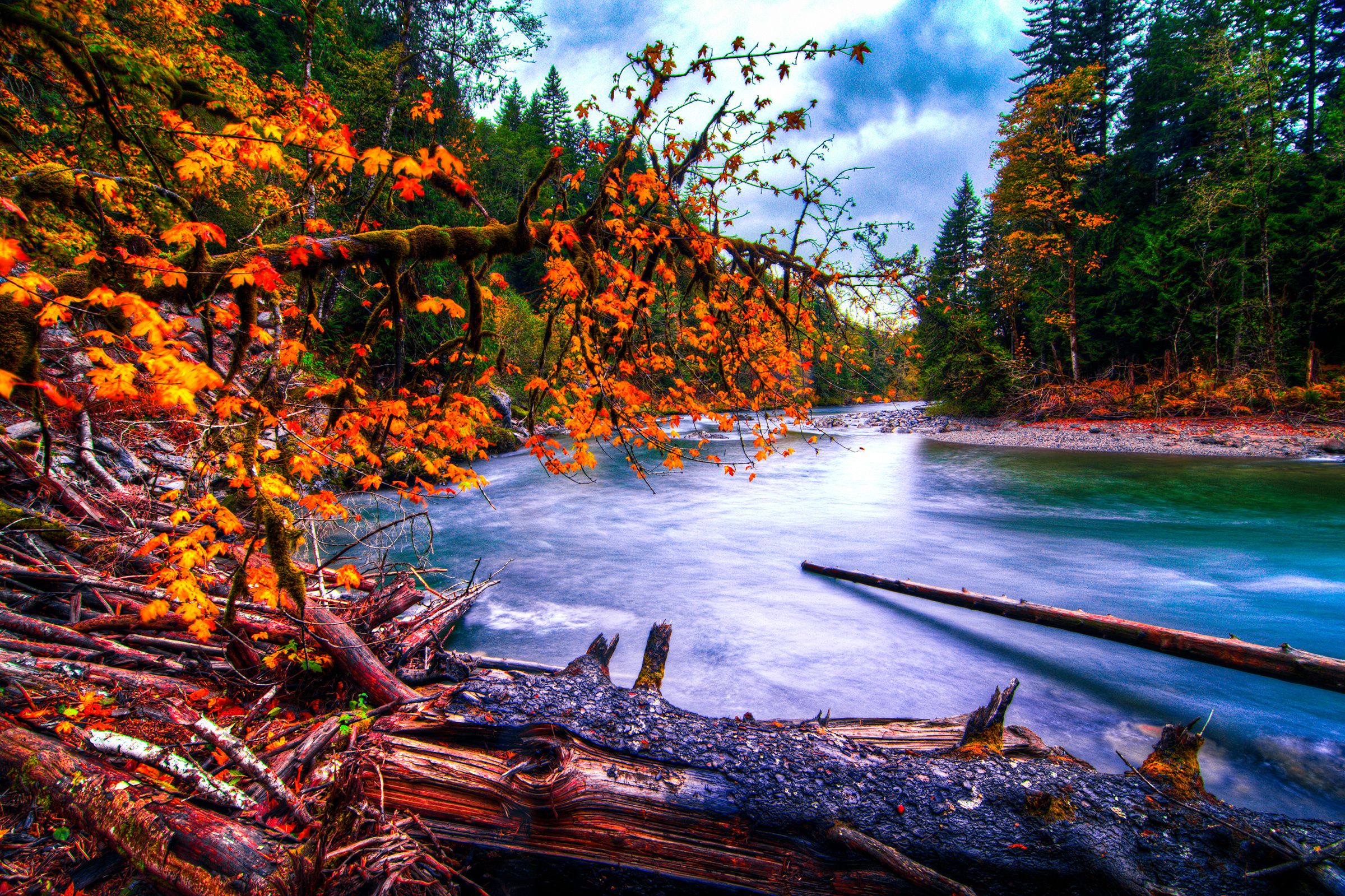 2400x1599 snoqualmie, River, Washington, River, Forest, Autumn, Landscape Wallpaper HD / Desktop and Mobile Background