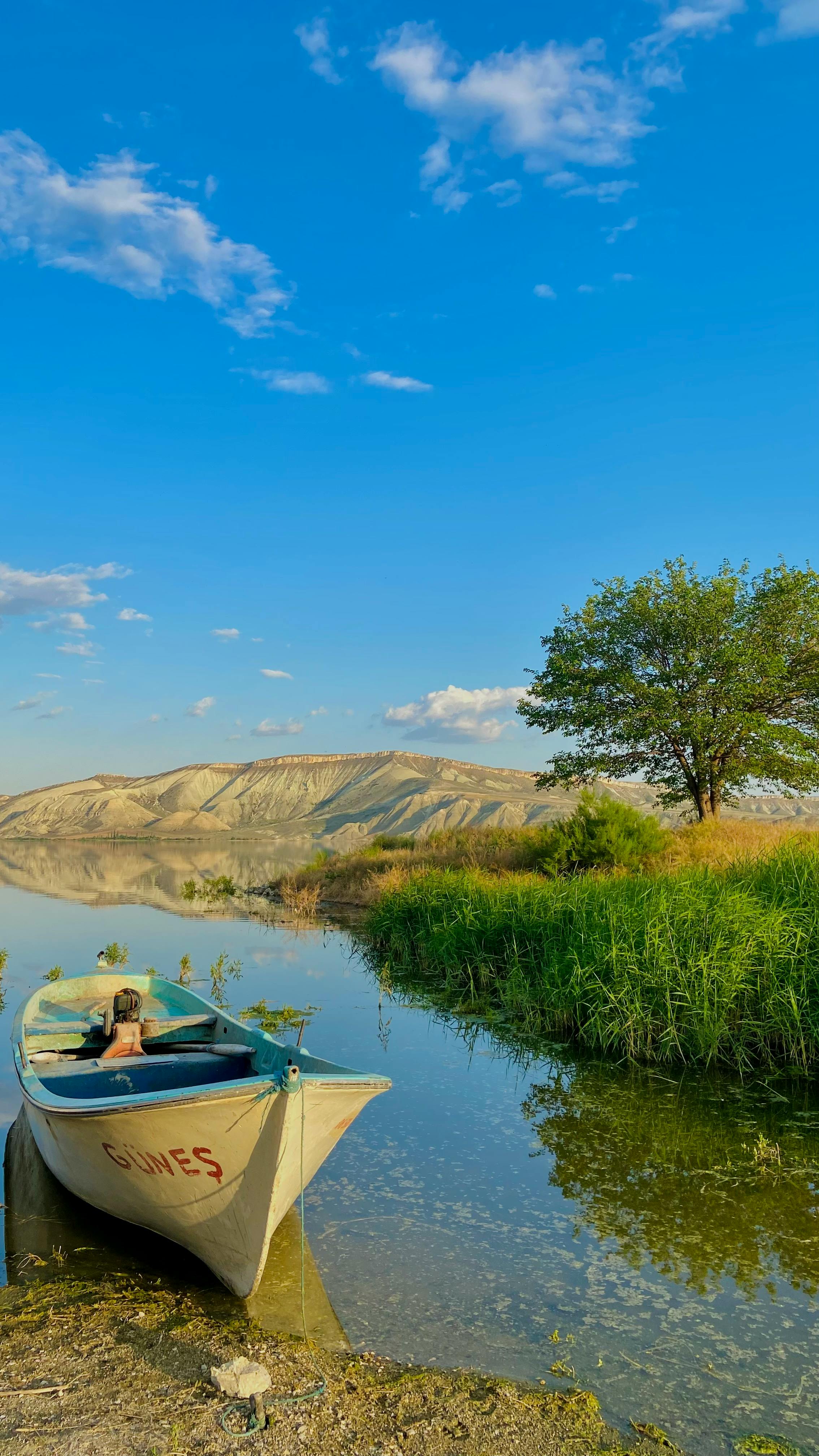 2268x4032 Boat near Shallow River · Free
