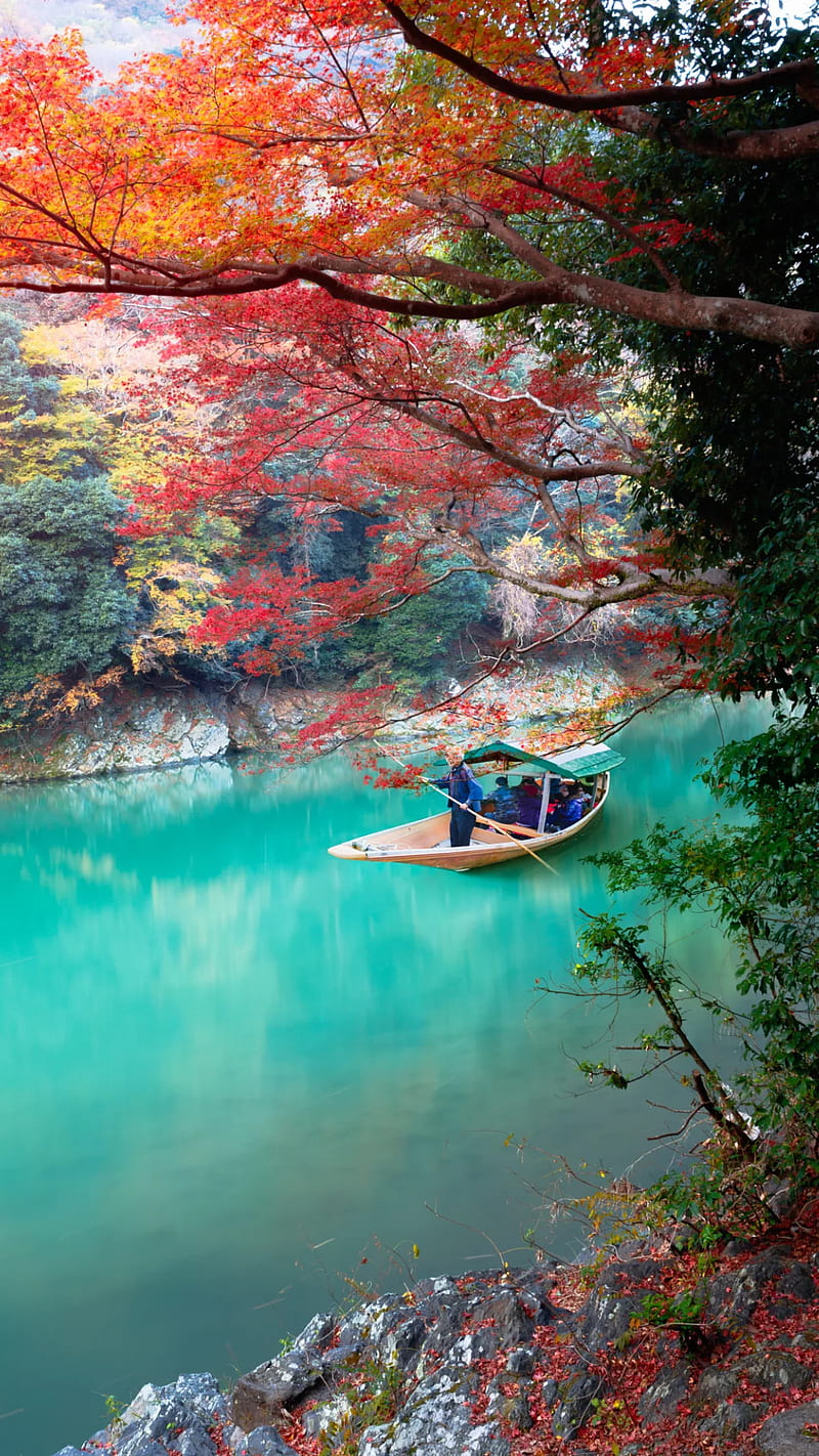 800x1422 Boat on the river, asia, vietnam, river, water, trees, boat, HD phone wallpaper