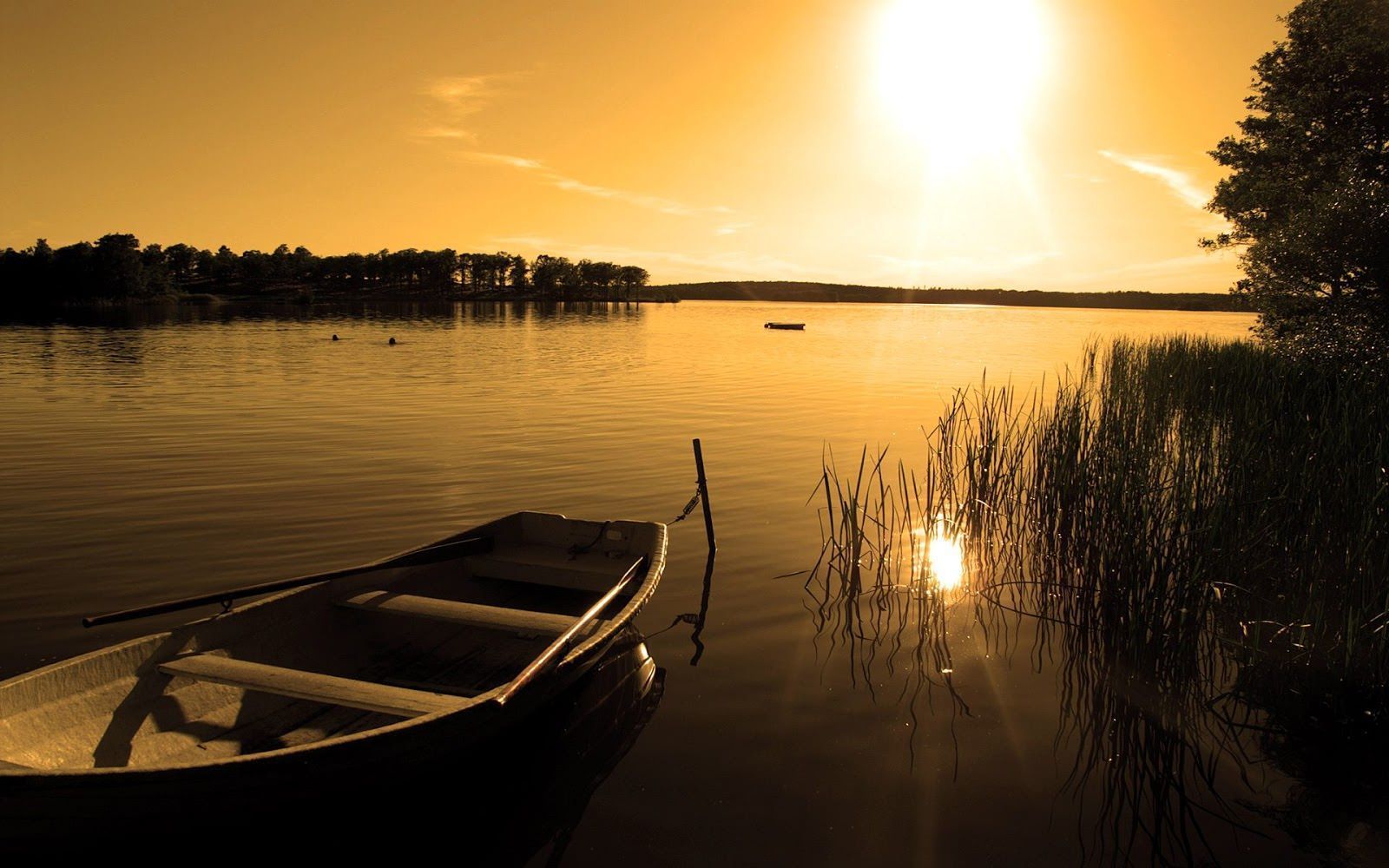 1600x1000 River Sunrise Wallpaper, HD Background