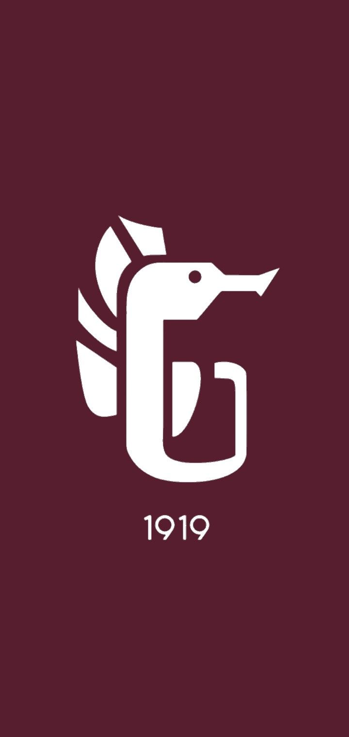 720x1520 Salernitana Logo Wallpaper 2