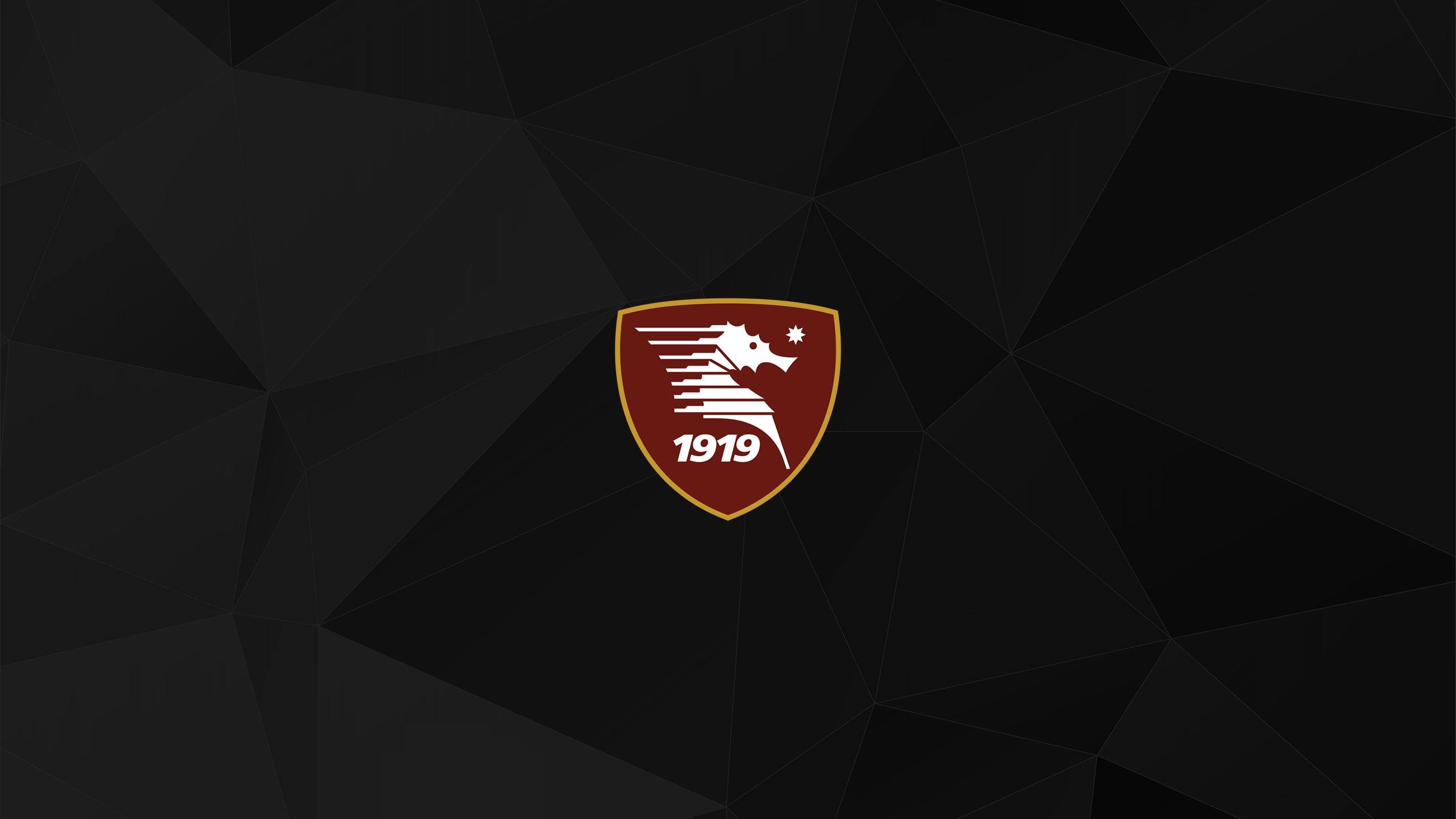 2560x1440 U S Salernitana 1919 Phone Wallpaper: Free 4K & HD Downloads