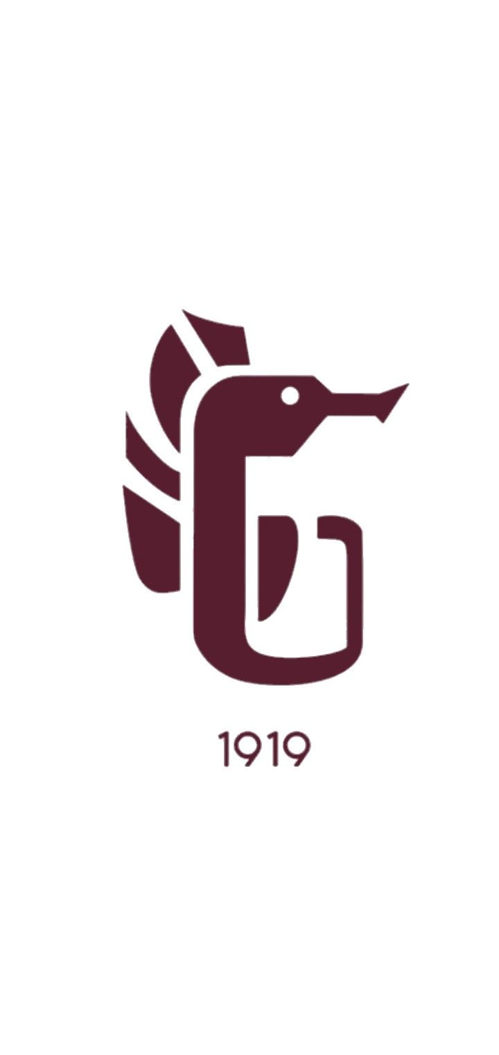720x1520 SALERNITANA LOGO WALLPAPER 3