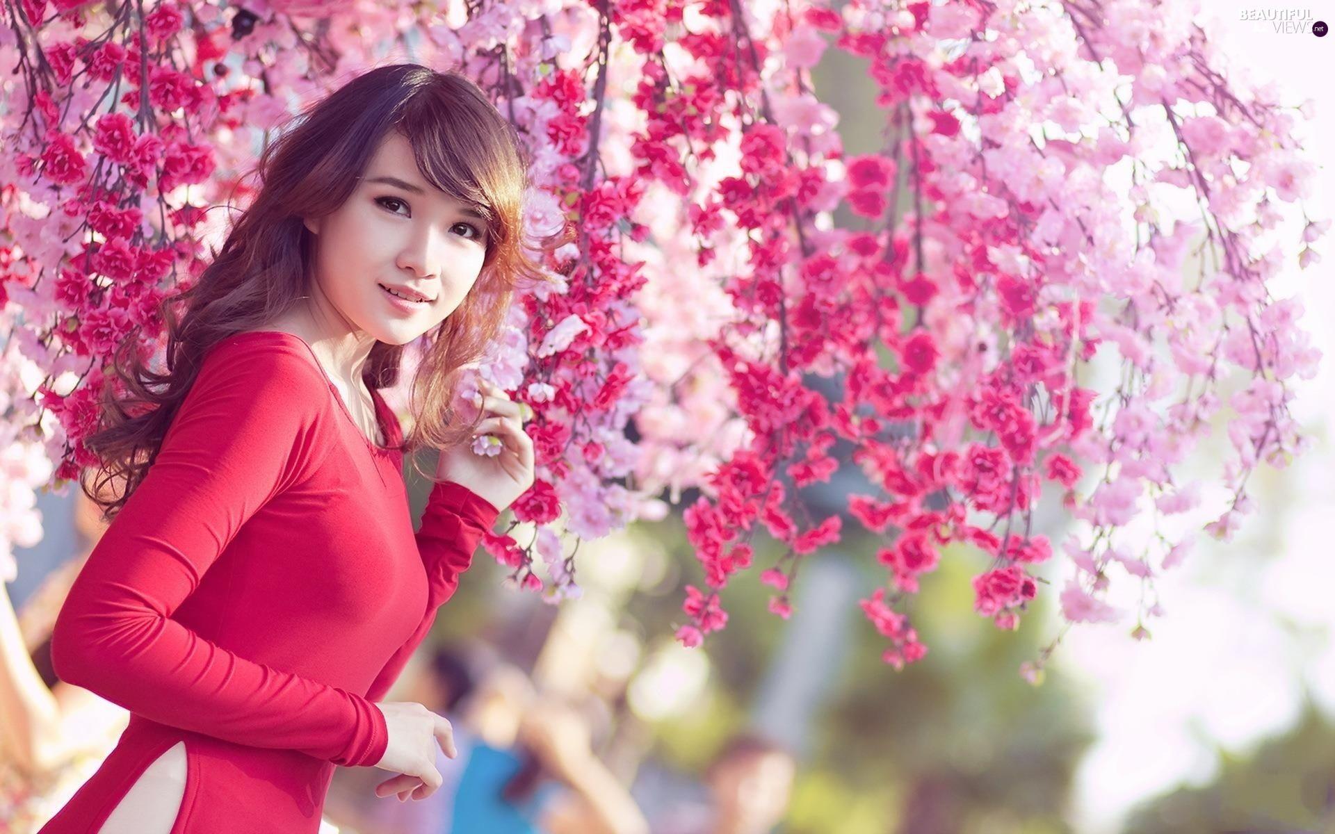 1920x1200 QS.90. Japanese woman, laptop Logan Barnett