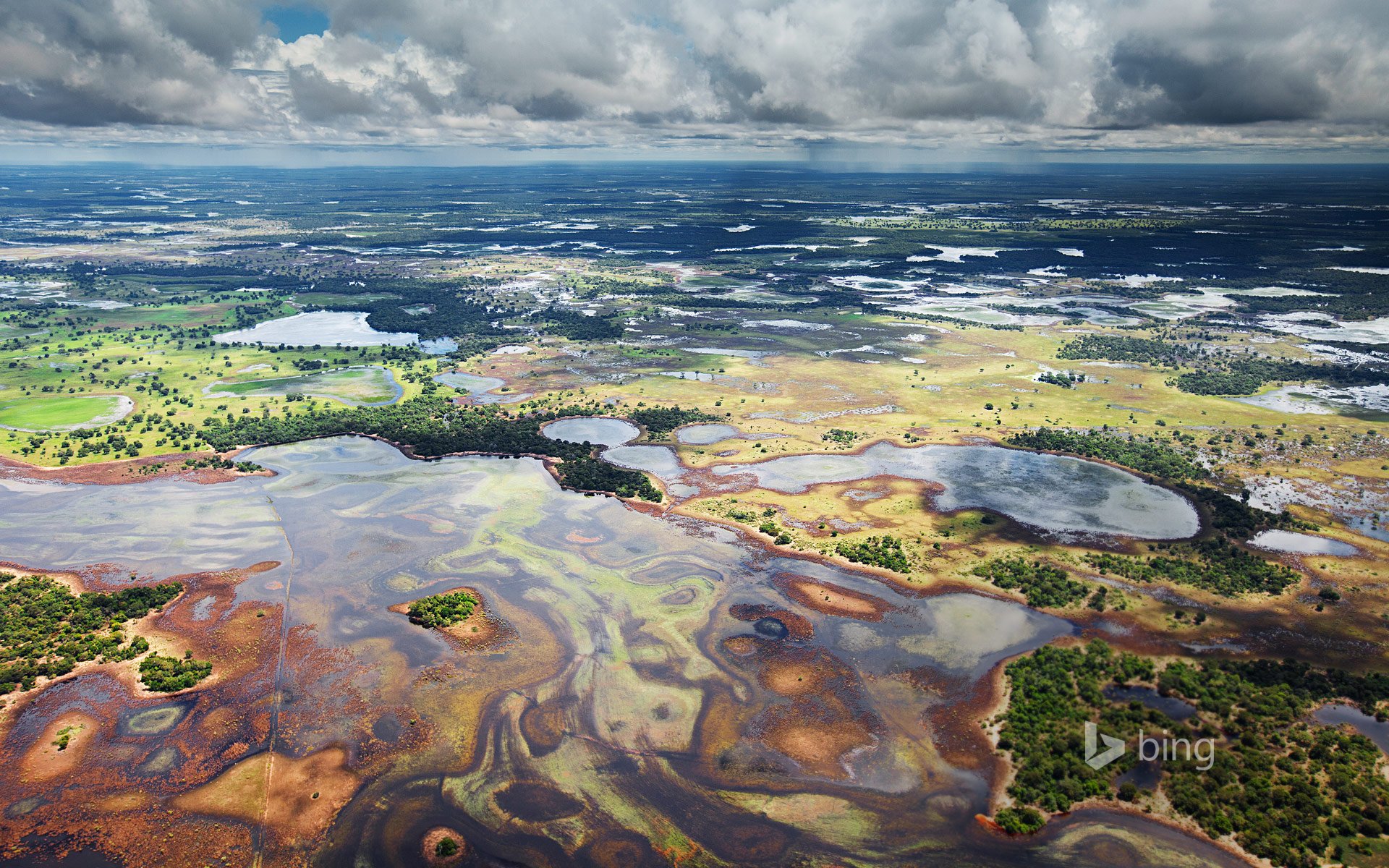 1920x1200 Flood plains in the Pantanal, Brazil Wallpaper