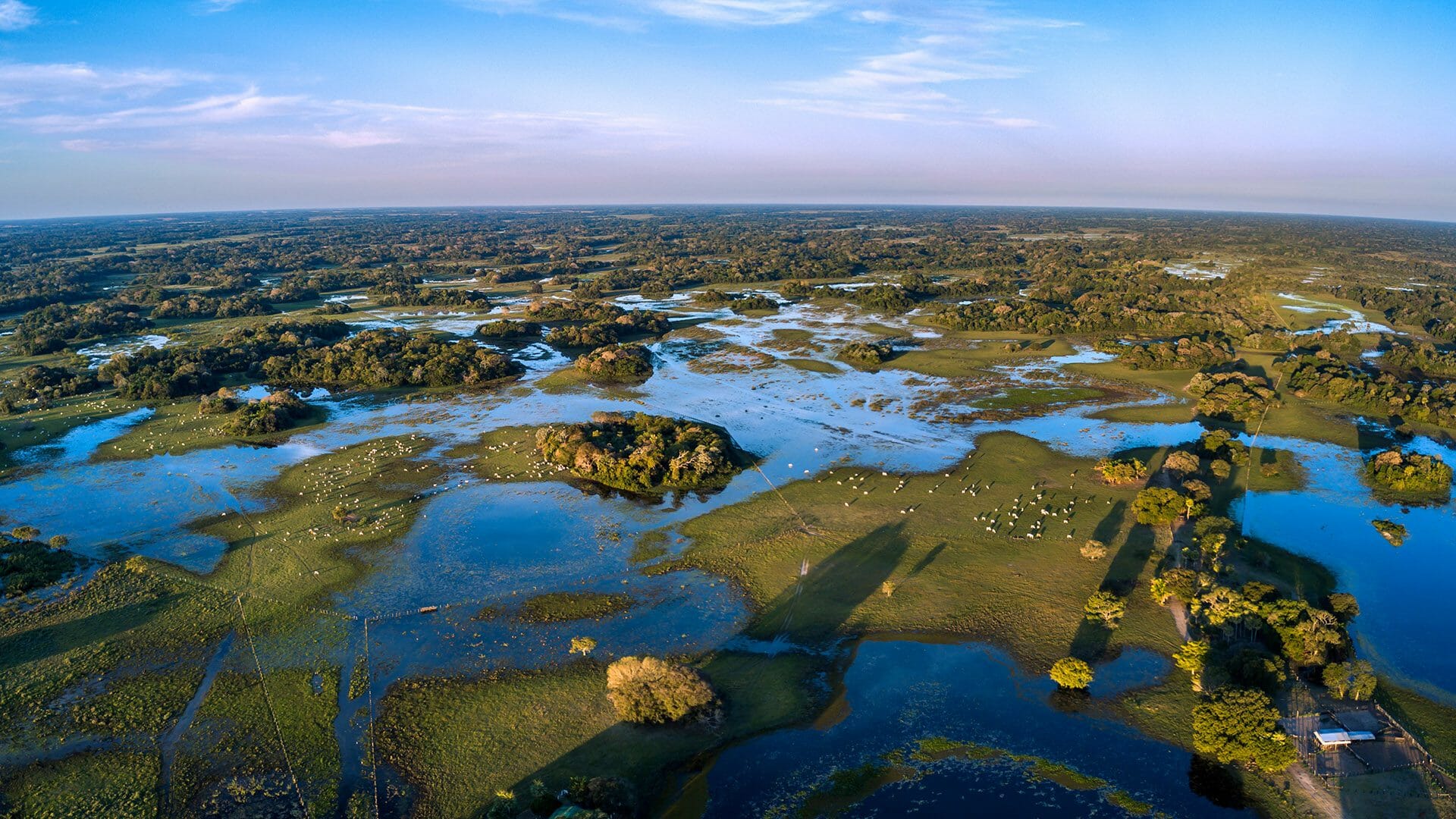 1920x1080 Pantanal Wallpaper