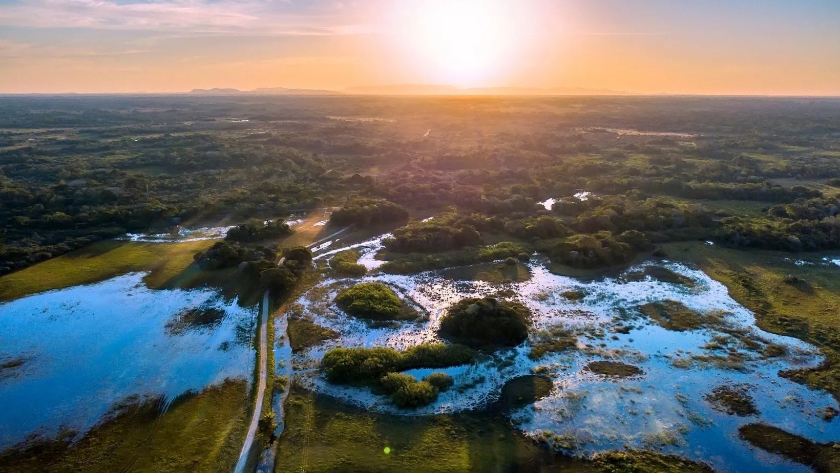 1640x924 Pantanal, Brazil Wildlife Trips in a Natural Paradise