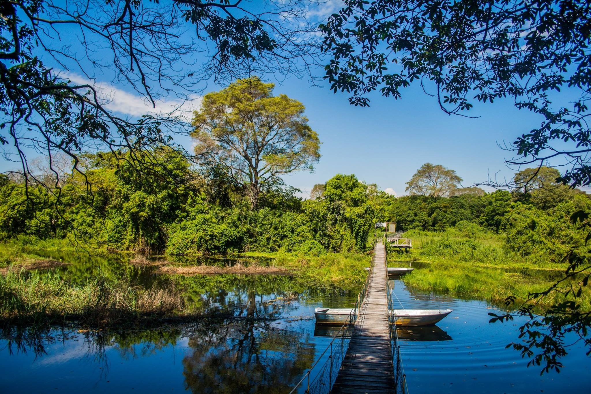 2048x1365 Pantanal Matogrossense Wallpaper