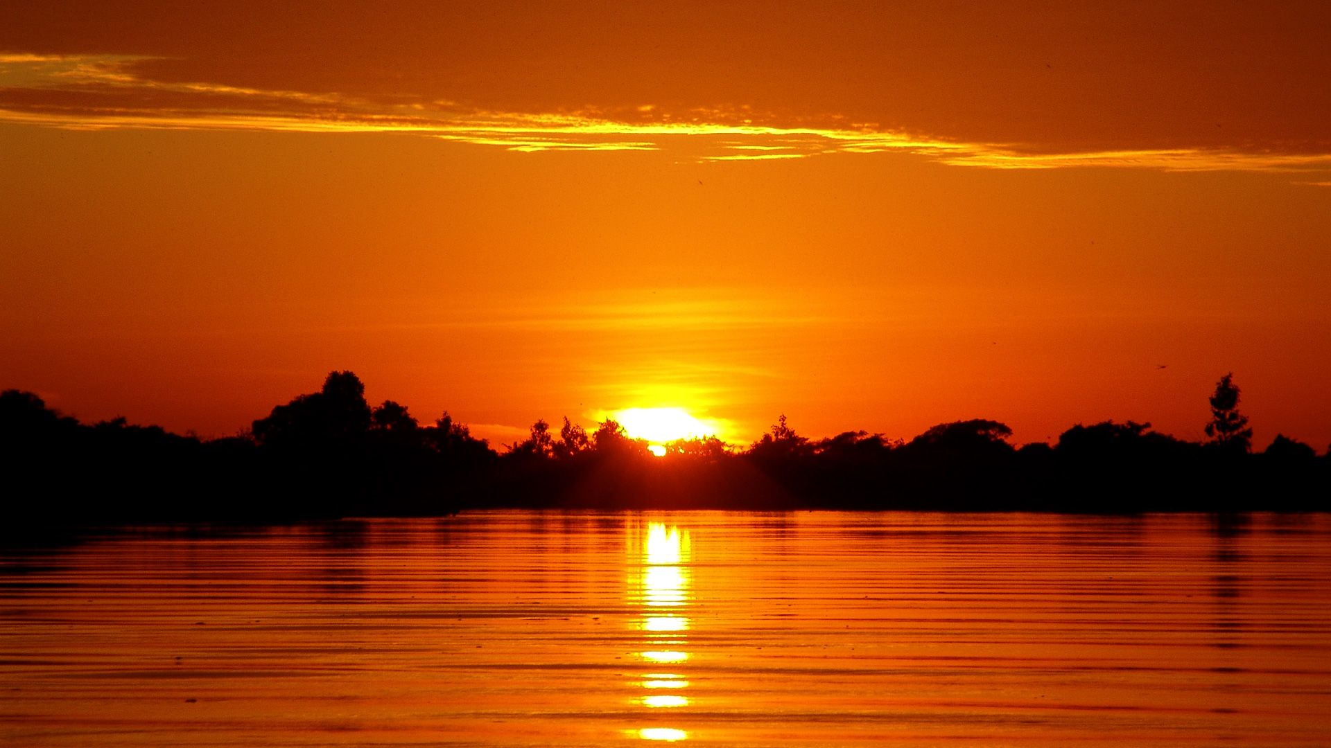 1920x1080 Pantanal Wallpaper