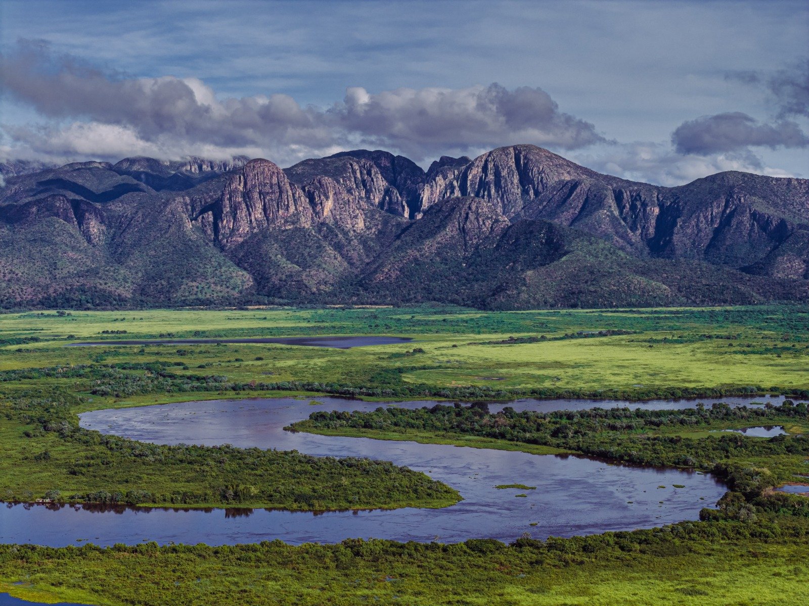 1600x1200 Ecological Crisis In Brazil's Pantanal Fuels Human Jaguar Conflict