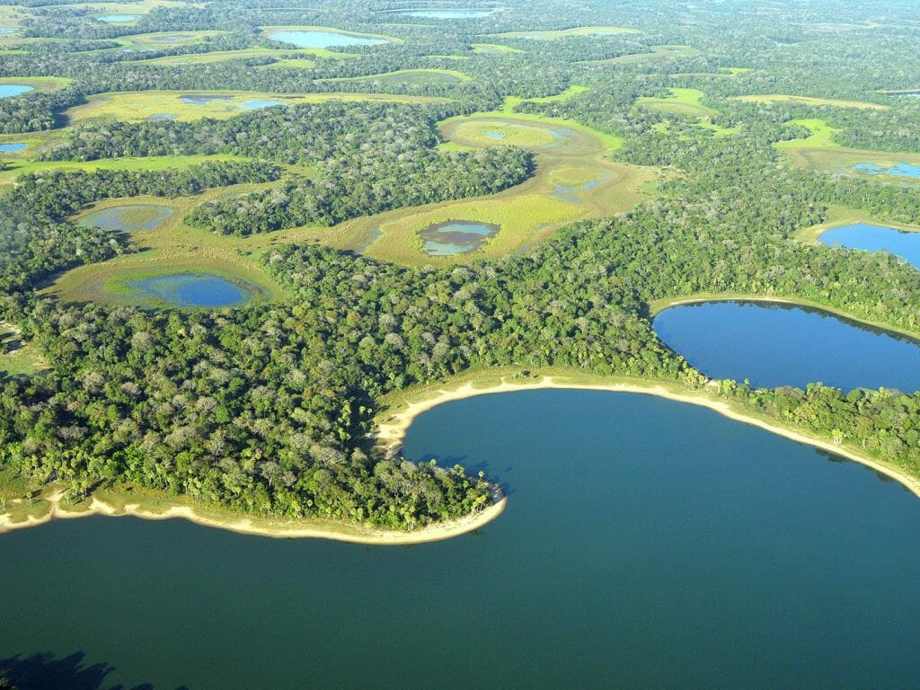 1024x768 Pantanal holidays, Brazil