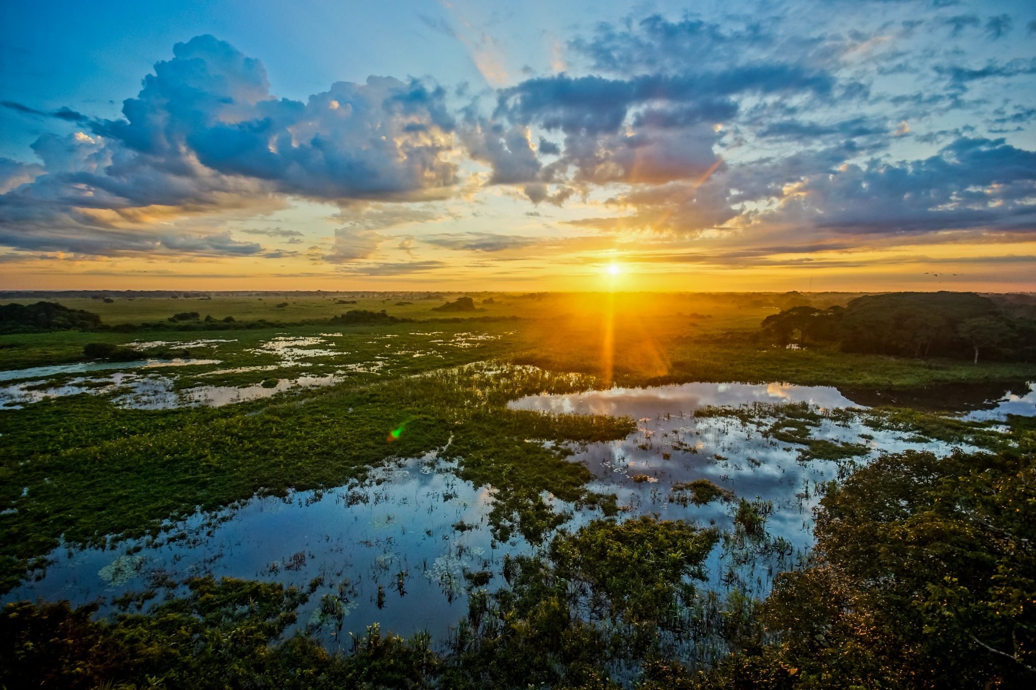 2048x1365 Pantanal Matogrossense Wallpaper