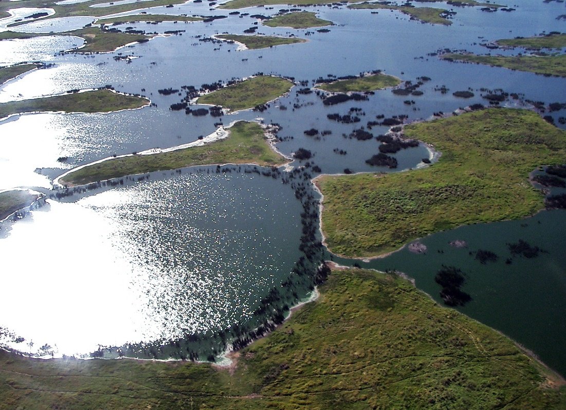 1101x799 Pantanal