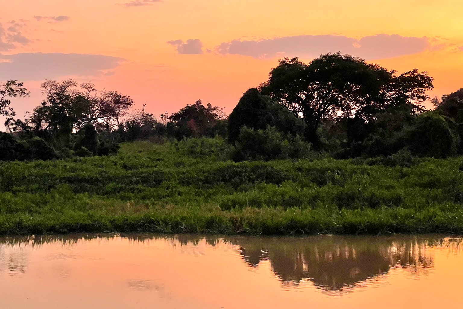 1536x1024 Brazil's Pantanal is at risk of collapse, scientists say