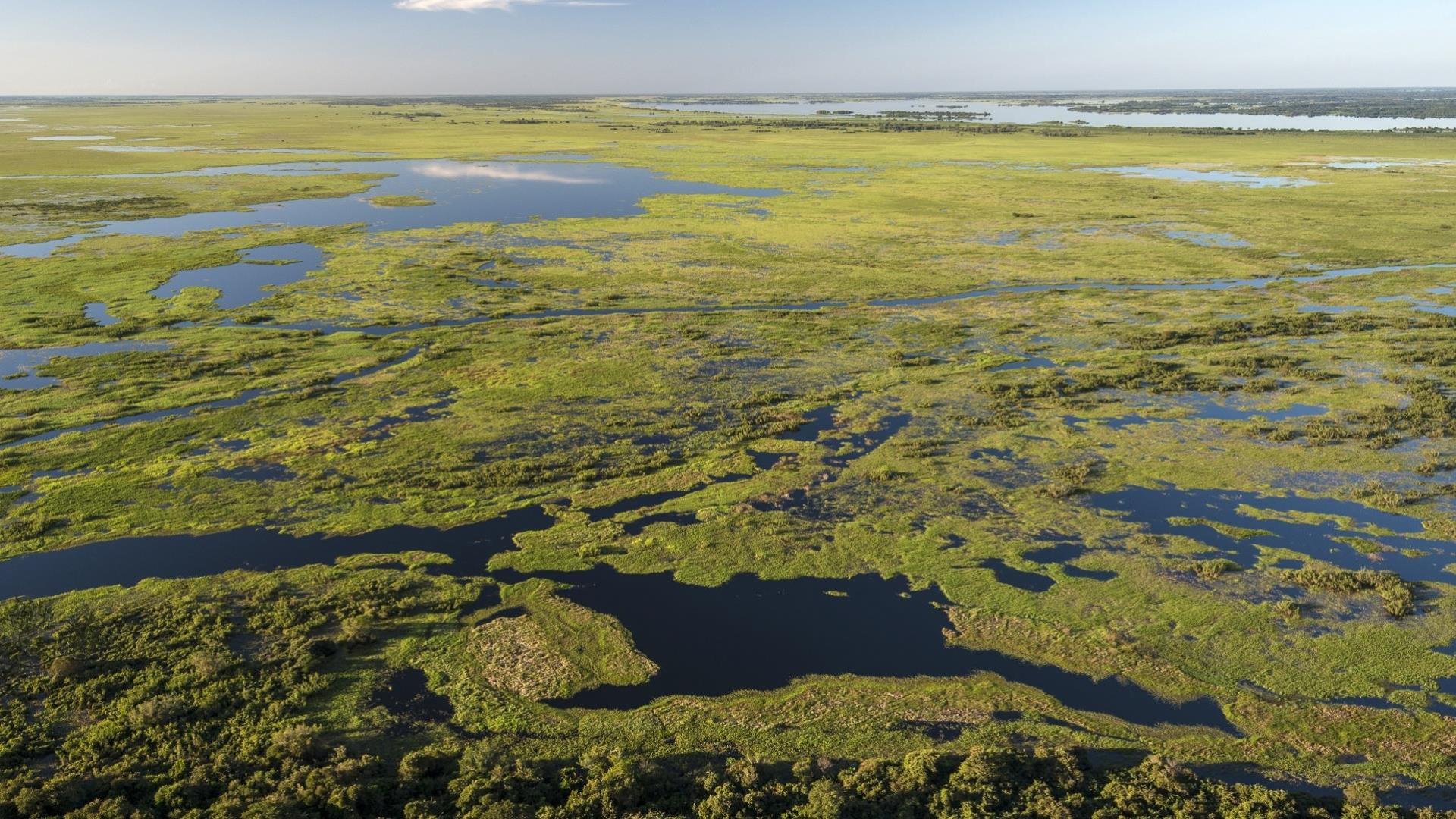 1920x1080 Days at Pousada Piuval in North Pantanal. Aventura do Brasil