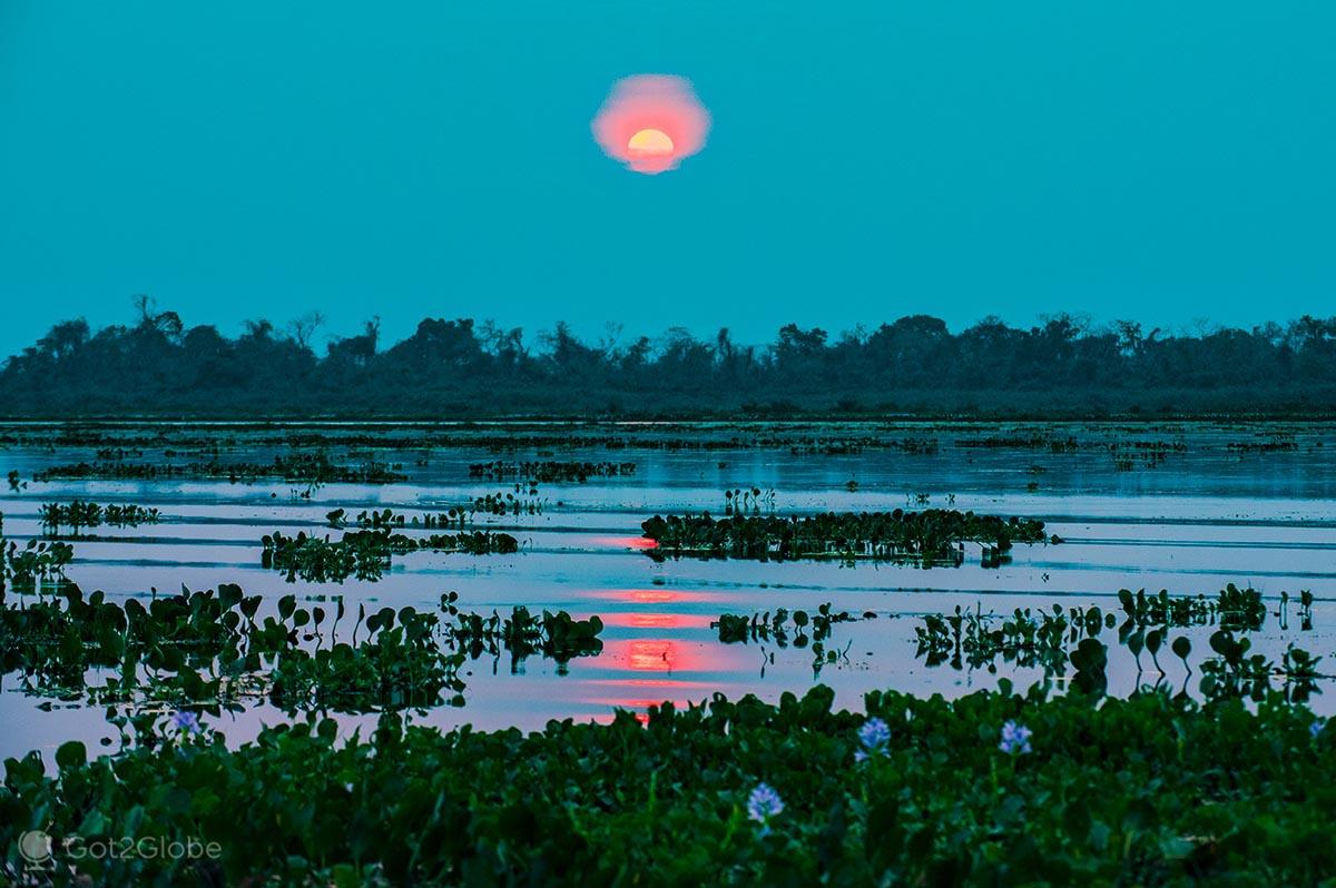 1200x798 Transpantaneira Pantanal in the Far East of Mato Grosso