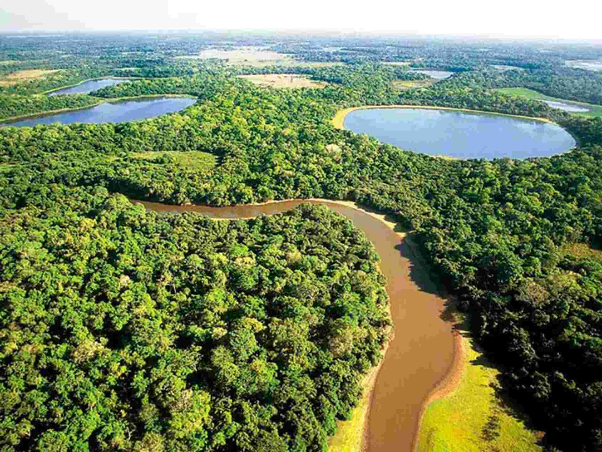 1920x1440 Pantanal & Bonito Experience 6D 5N Tour By Bamba