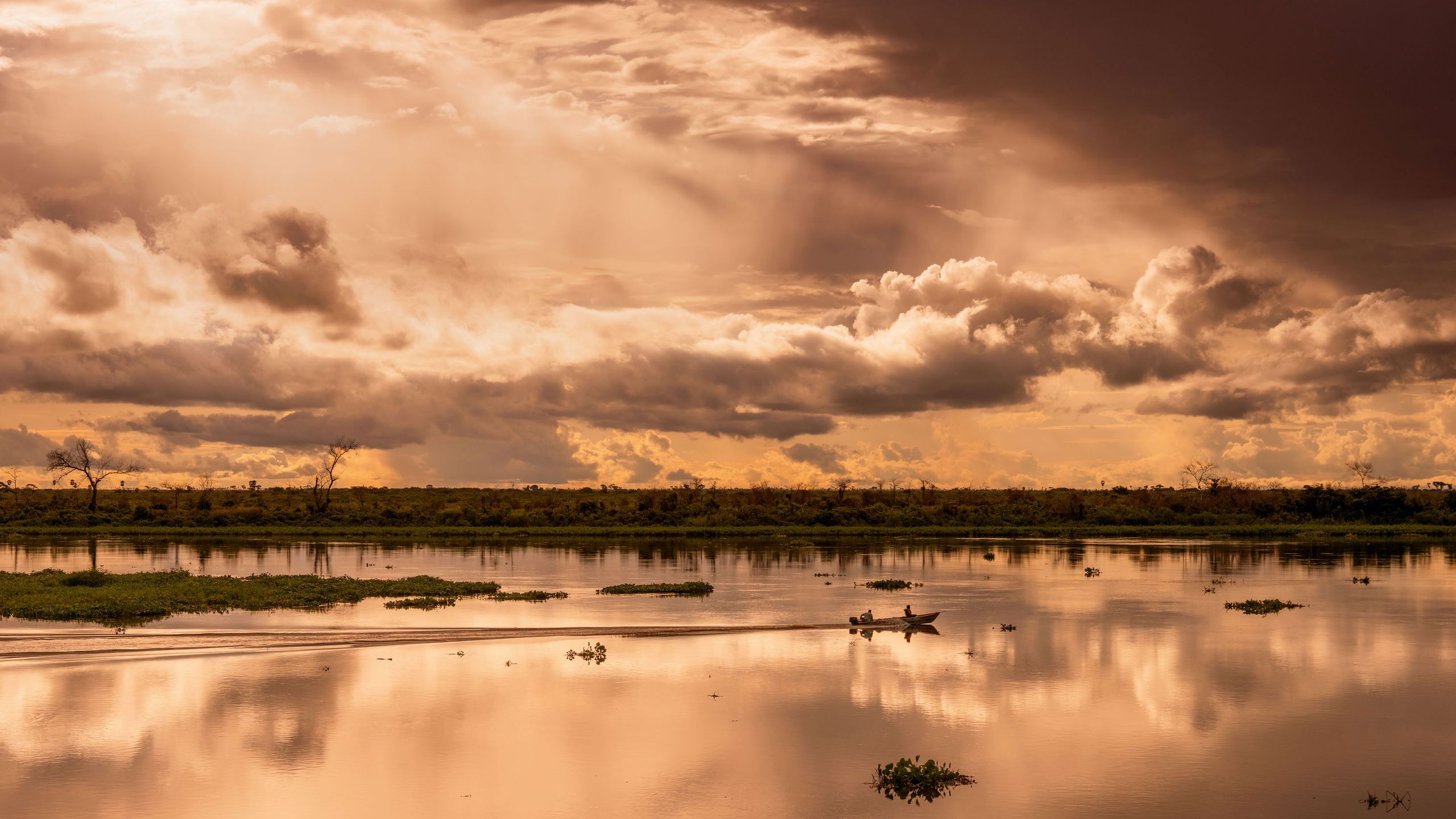 2560x1440 Jaguars, caimans and cowboys in the tropical wetlands of Brazil