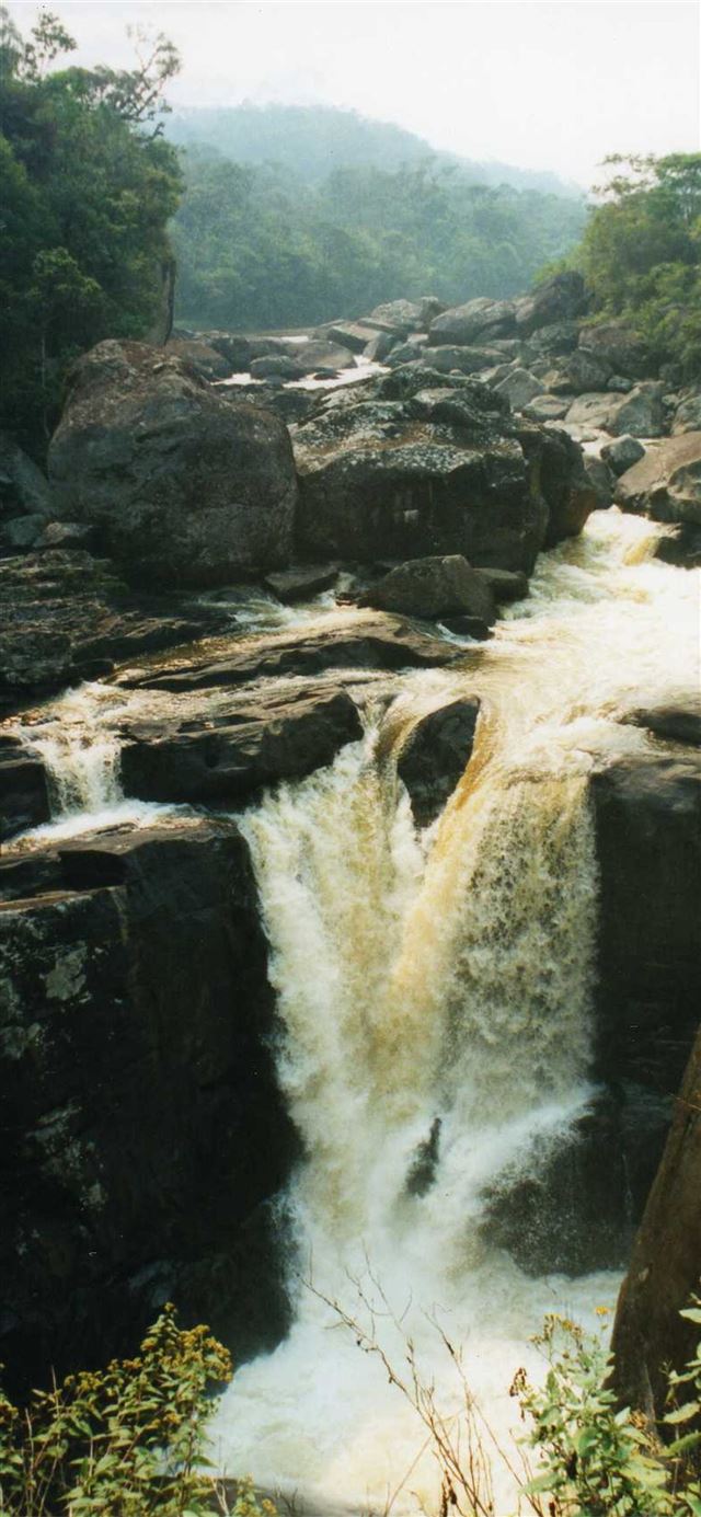 640x1385 Best Maranhao iPhone 11 HD Wallpaper