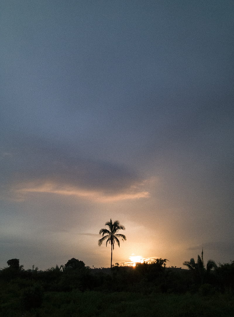 800x1081 HD maranhao wallpaper