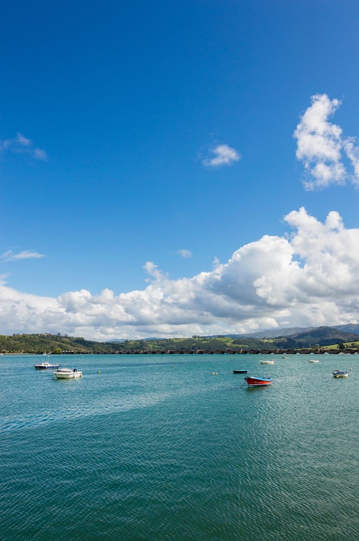 740x1114 Maranhao Photo Free High Quality Picture