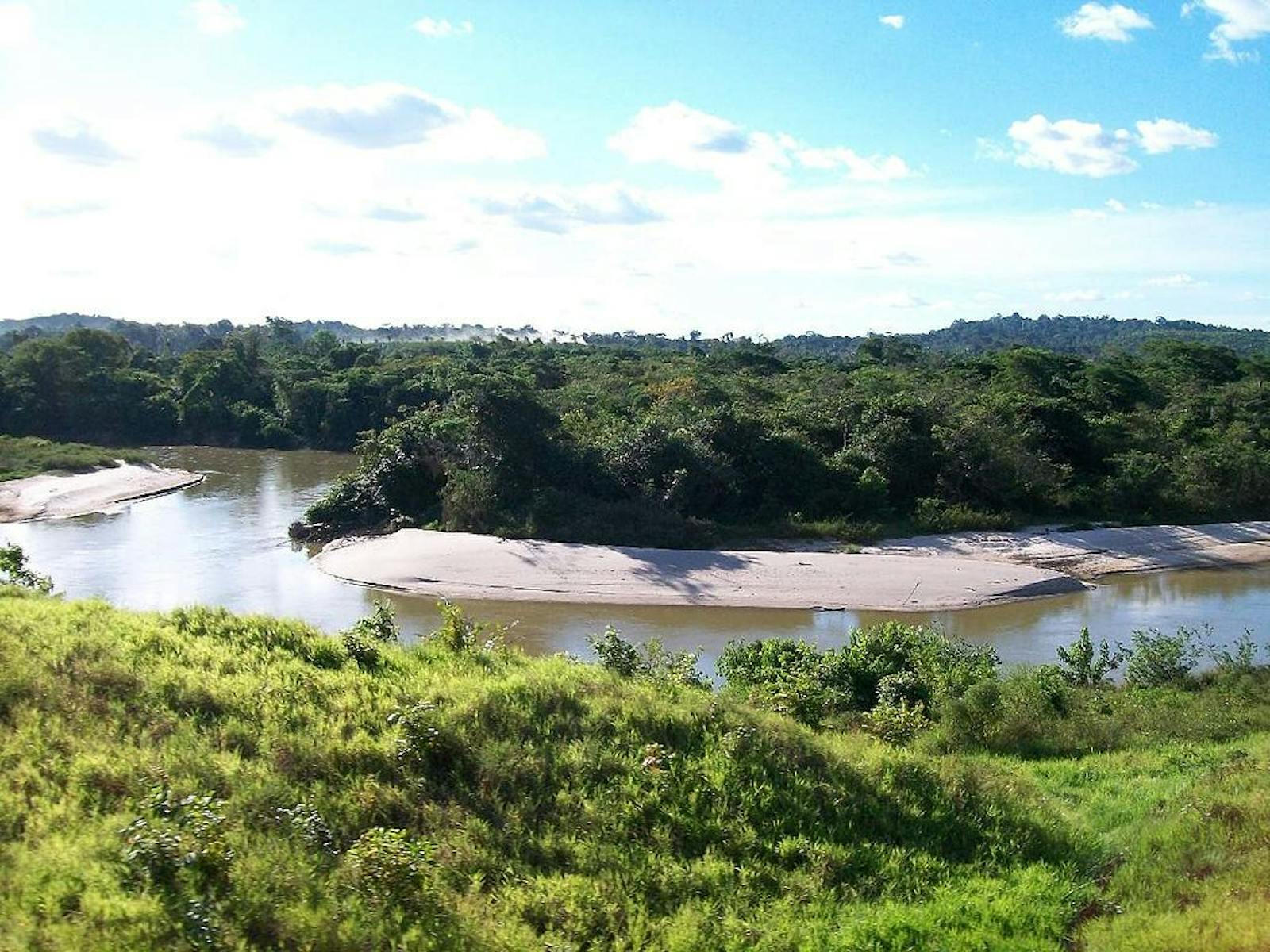 1600x1200 Maranhão Babaçu Forests