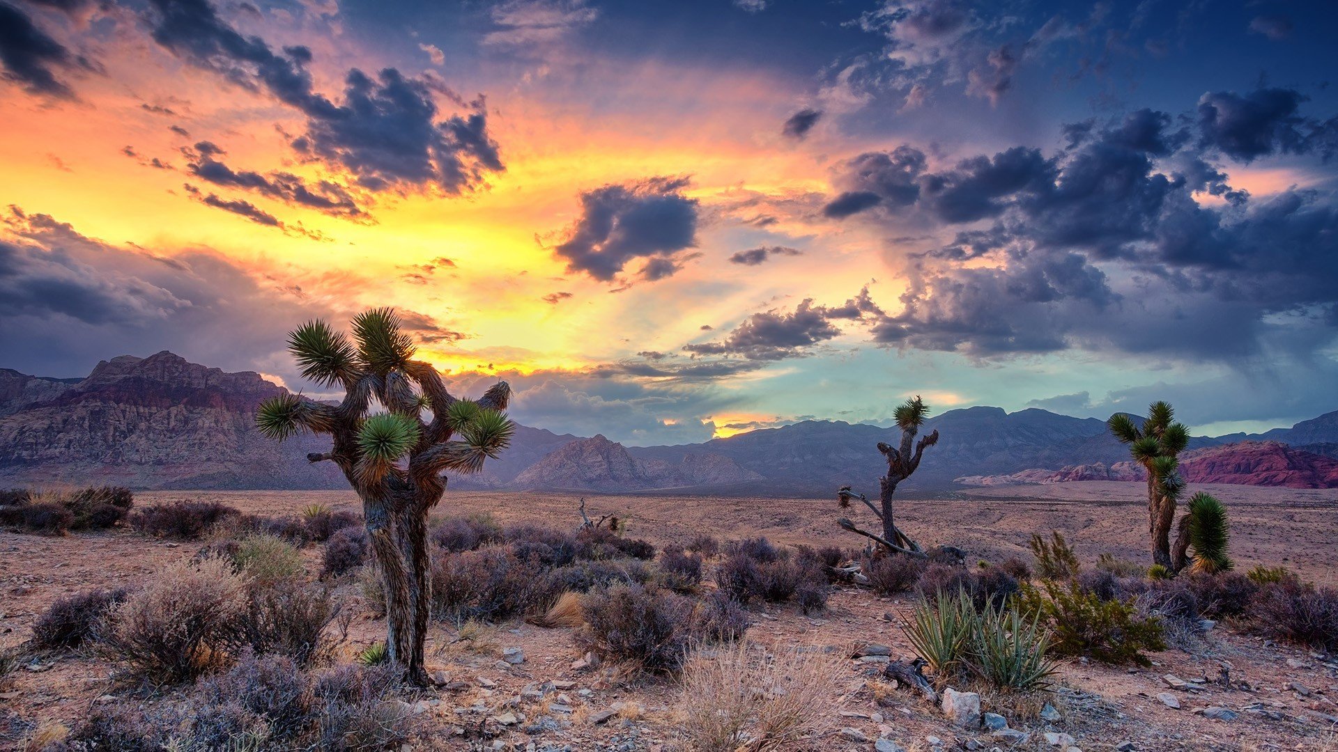 1920x1080 Wallpaper USA, sky, desert, landscape, nature, sunset, mountains, clouds for mobile and desktop, section природа, resolution 1920x1080