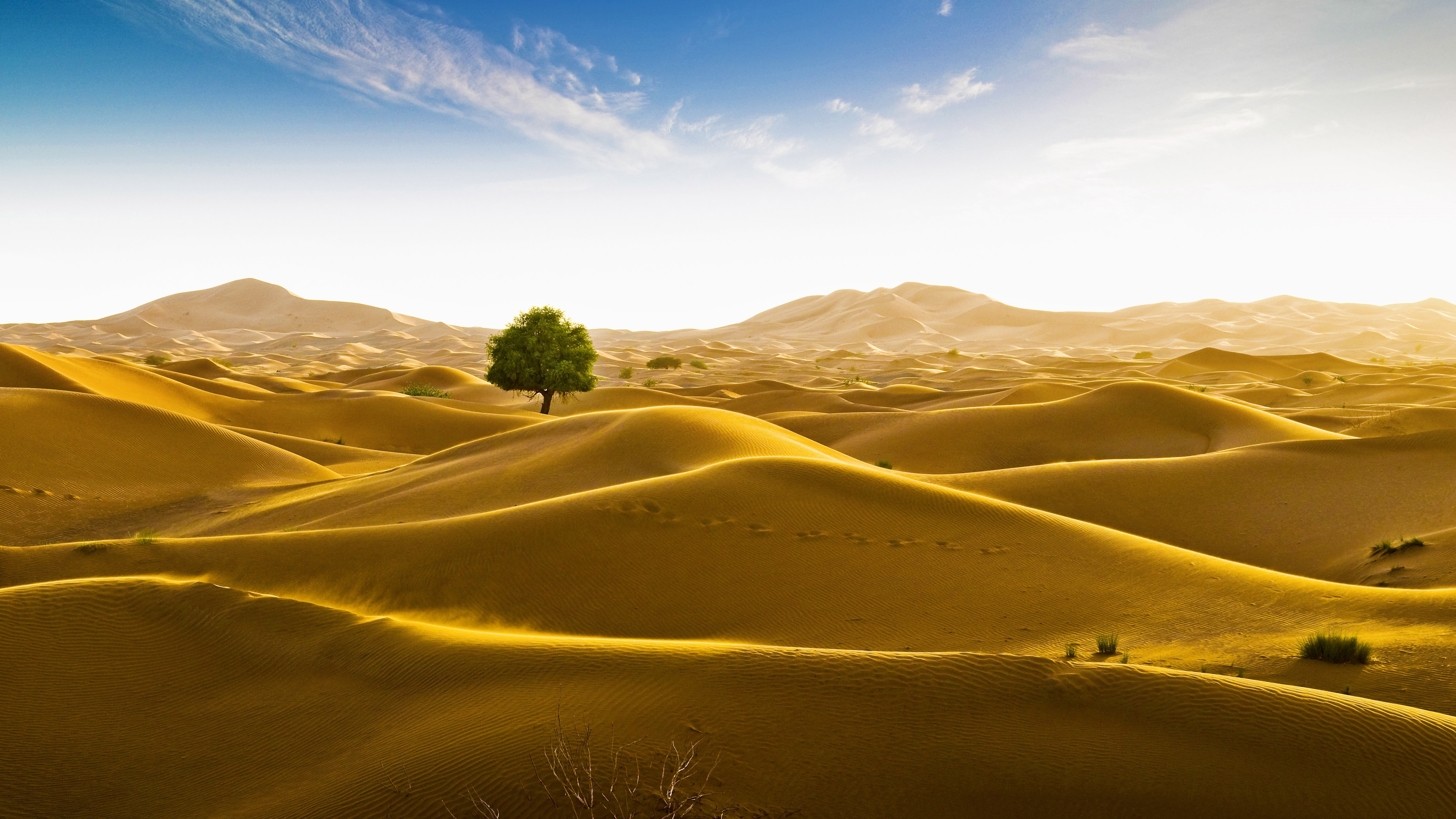 4279x2407 Rub' al Khali desert on the border of Oman and the Emirate of Dubai Wallpaper, HD Nature 4K Wallpaper, Image and Background