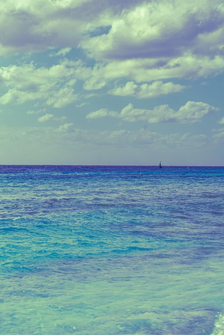 740x1109 Arabian Sea Photo Free High Quality Picture