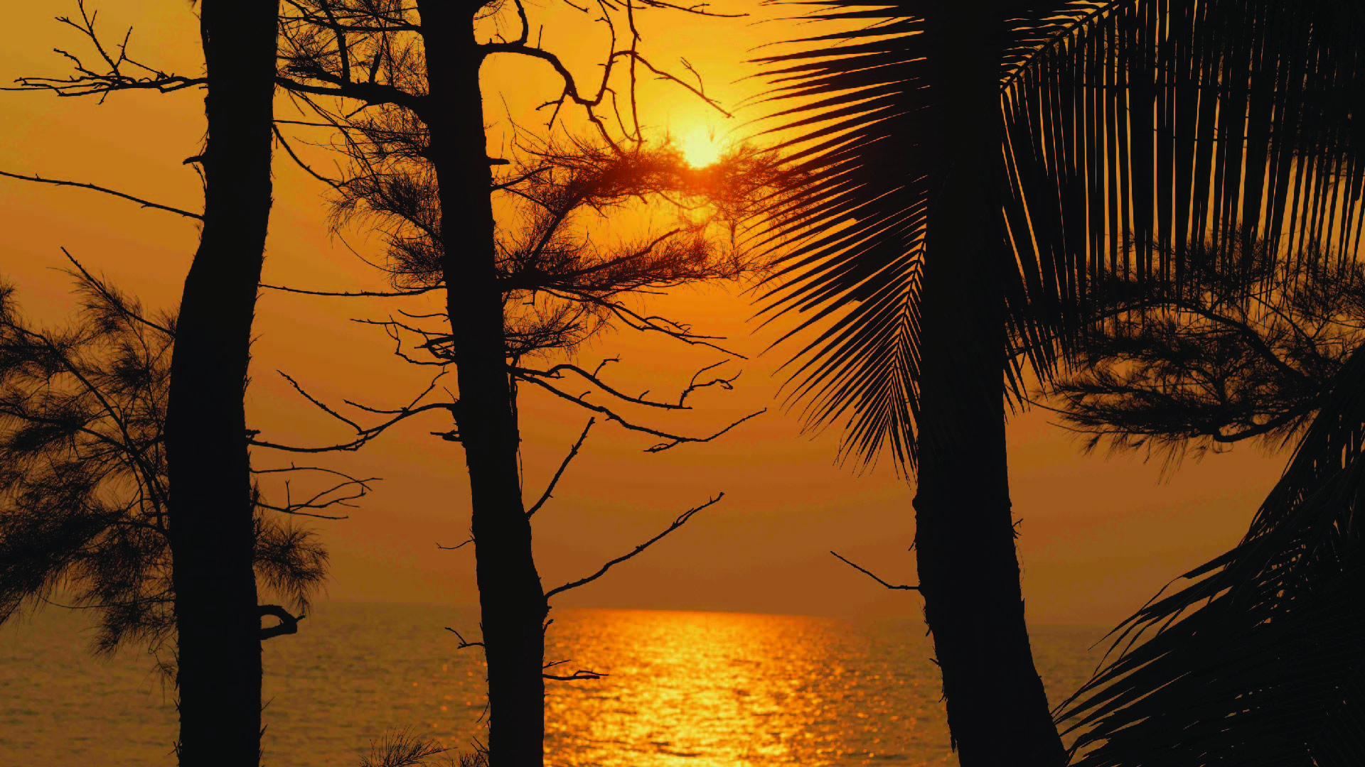 1920x1080 Best Beach Resorts in Karnataka. Postcard Arabian Sea