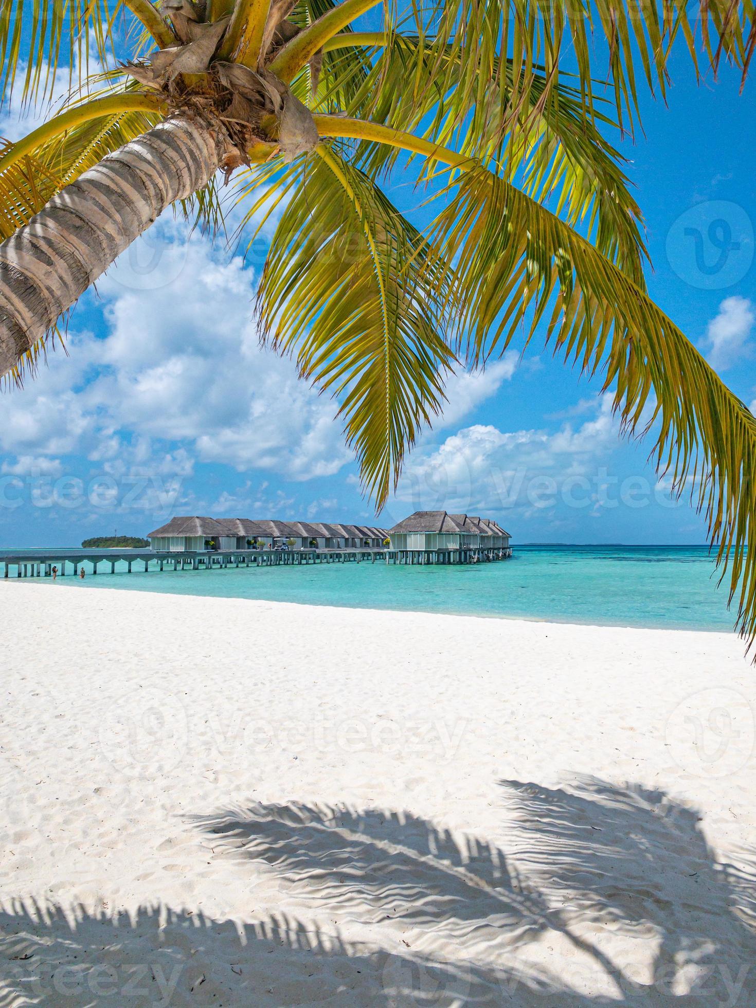 1470x1960 Maldives water villas under palm tree leaves, white sand, blue sea view. Sunny blue sky, tropical island coast landscape, exotic summer holiday. Beach vacation template, vertical wallpaper