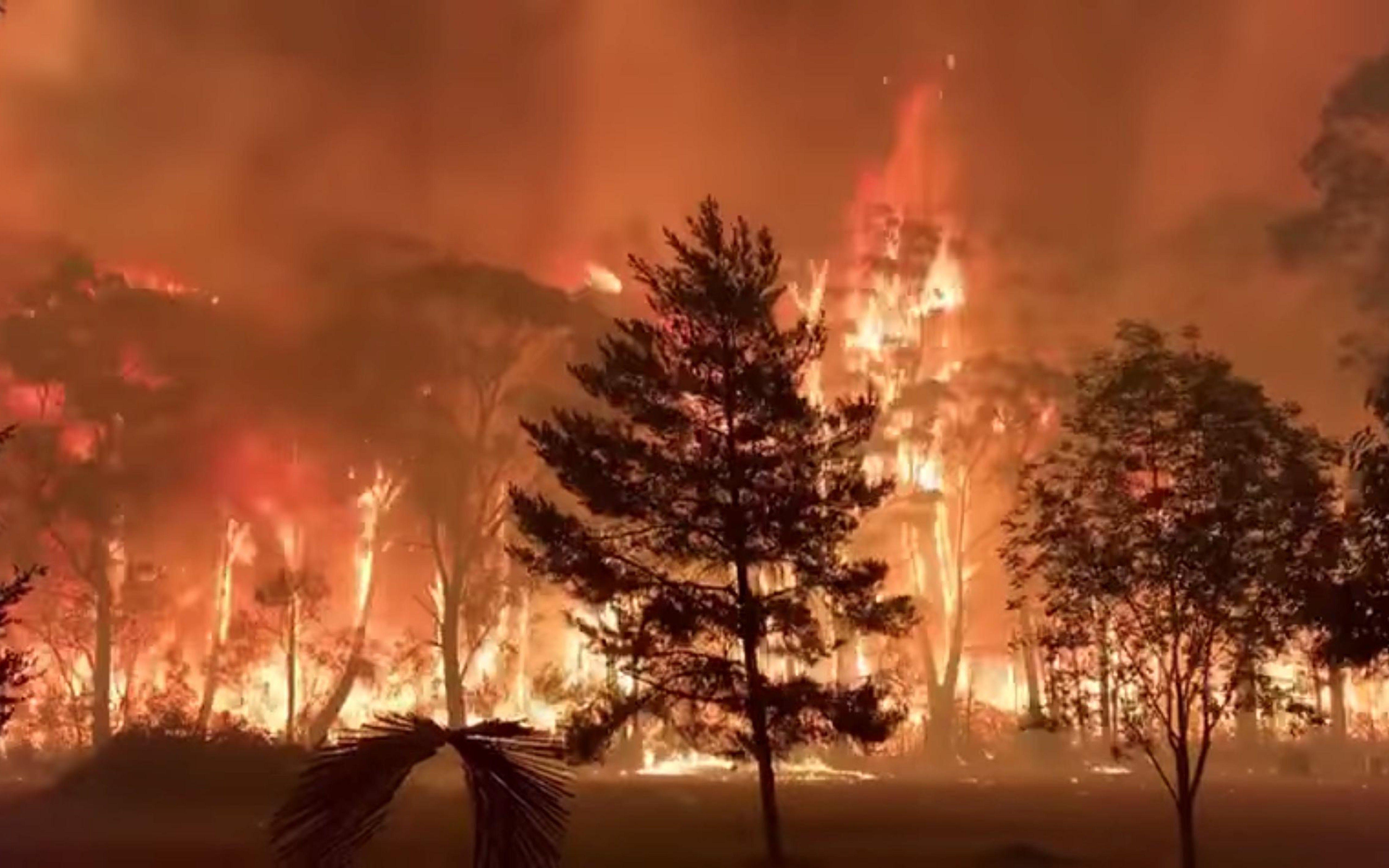 5120x3200 All forest in Australia are burning disaster fire