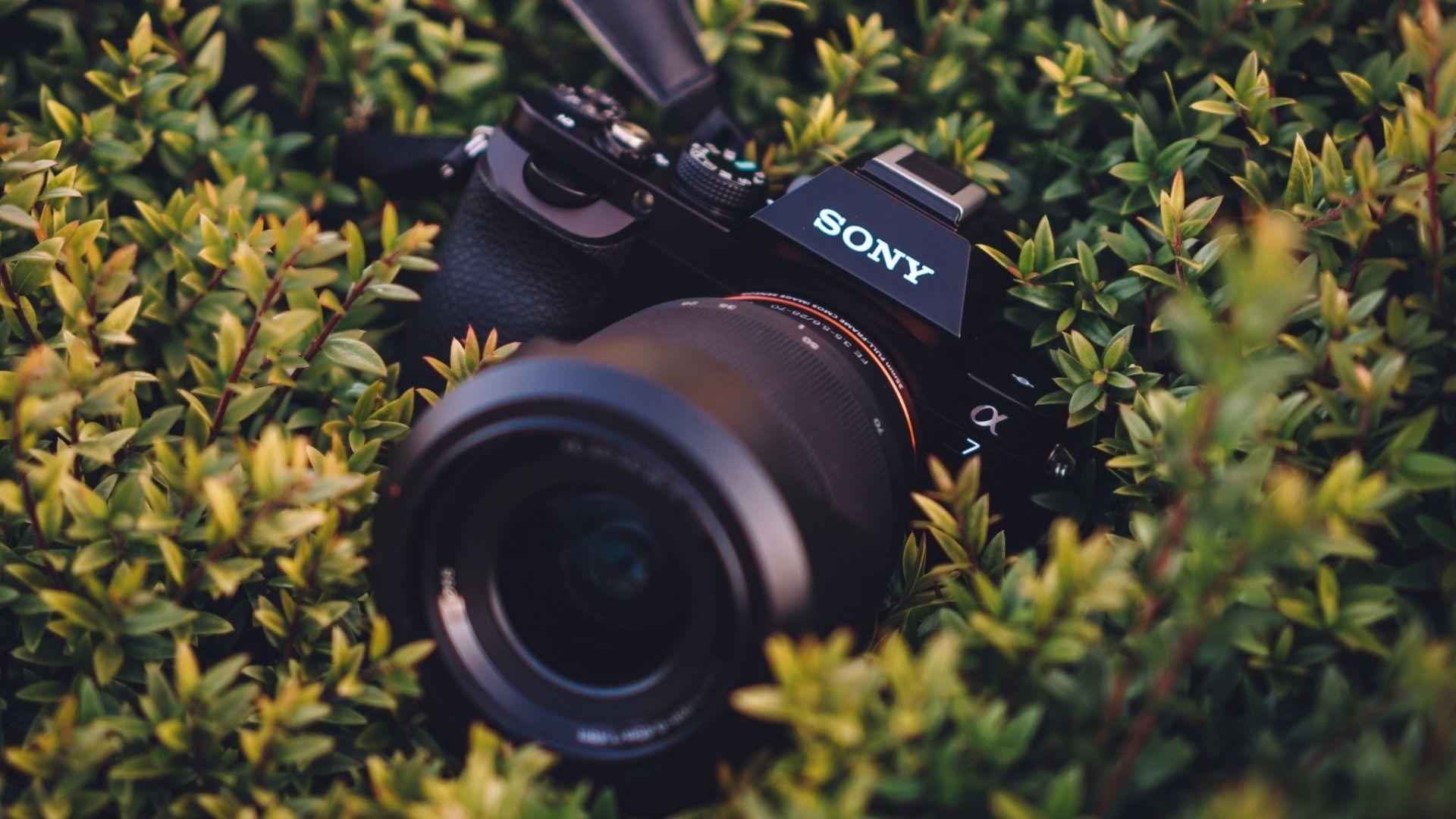 Sony Camera Wallpapers - Top Free Sony Camera Backgrounds ...