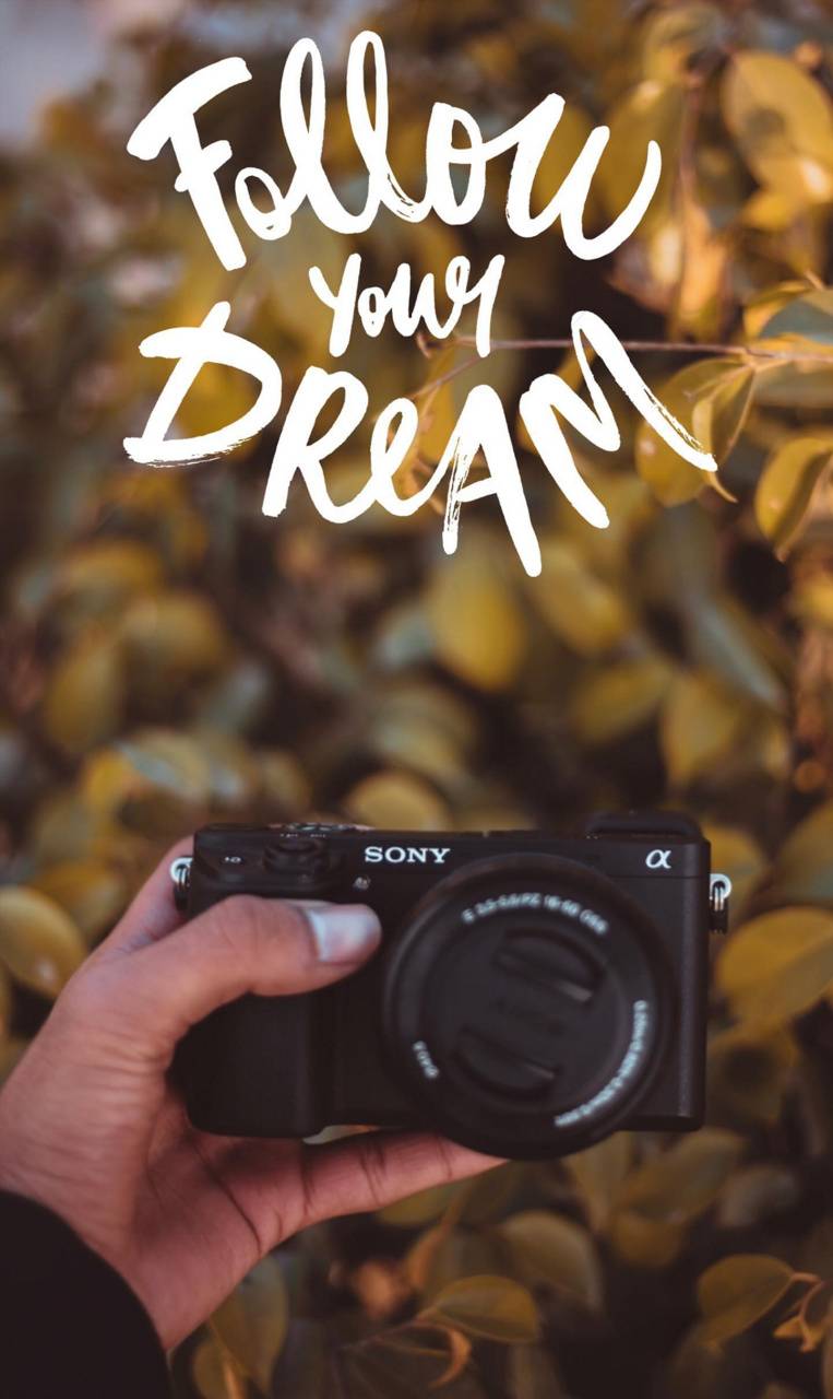 763x1280 Sony camera wallpaper