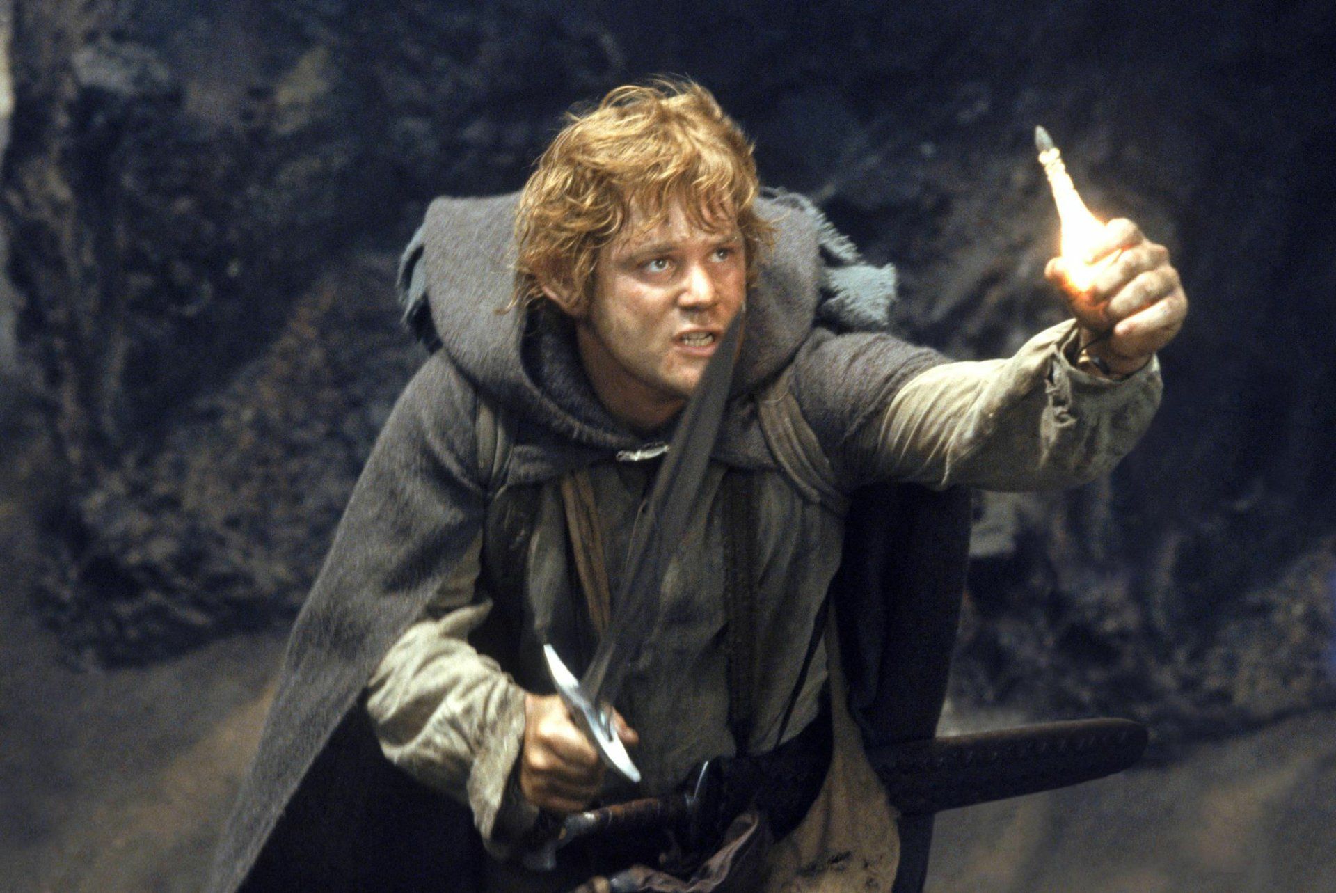 1920x1283 Download Sean Astin Samwise Gamgee Movie The Lord Of The Rings: The Return Of The King