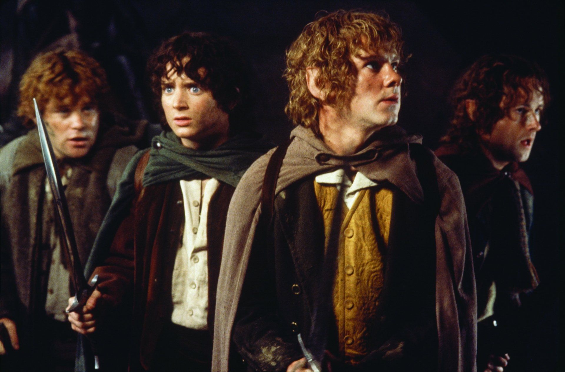 1920x1264 HD Wallpaper: The Lord of the Rings Fellowship