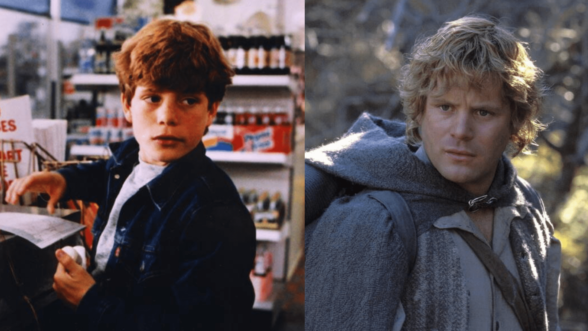 1920x1080 More Than Frodo's Bestie, But His Mum Messed Up: Happy