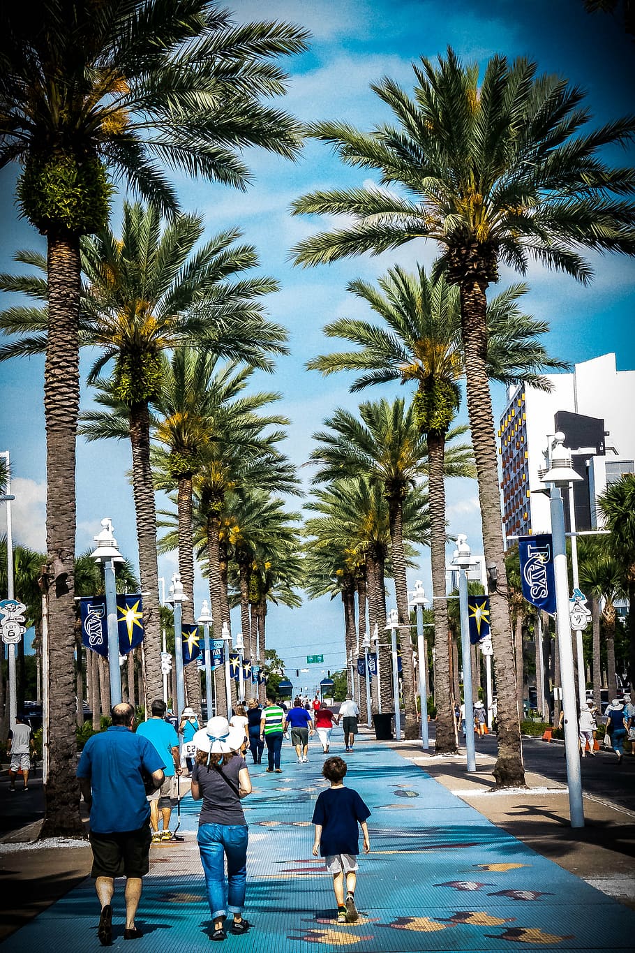 910x1365 St petersburg florida 1080P, 2K, 4K, 5K HD wallpaper free download, sort