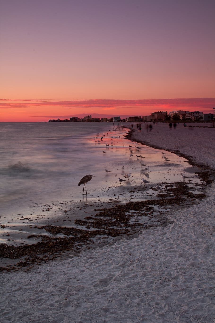 910x1365 Saint pete beach 1080P, 2K, 4K, 5K HD wallpaper free download, sort