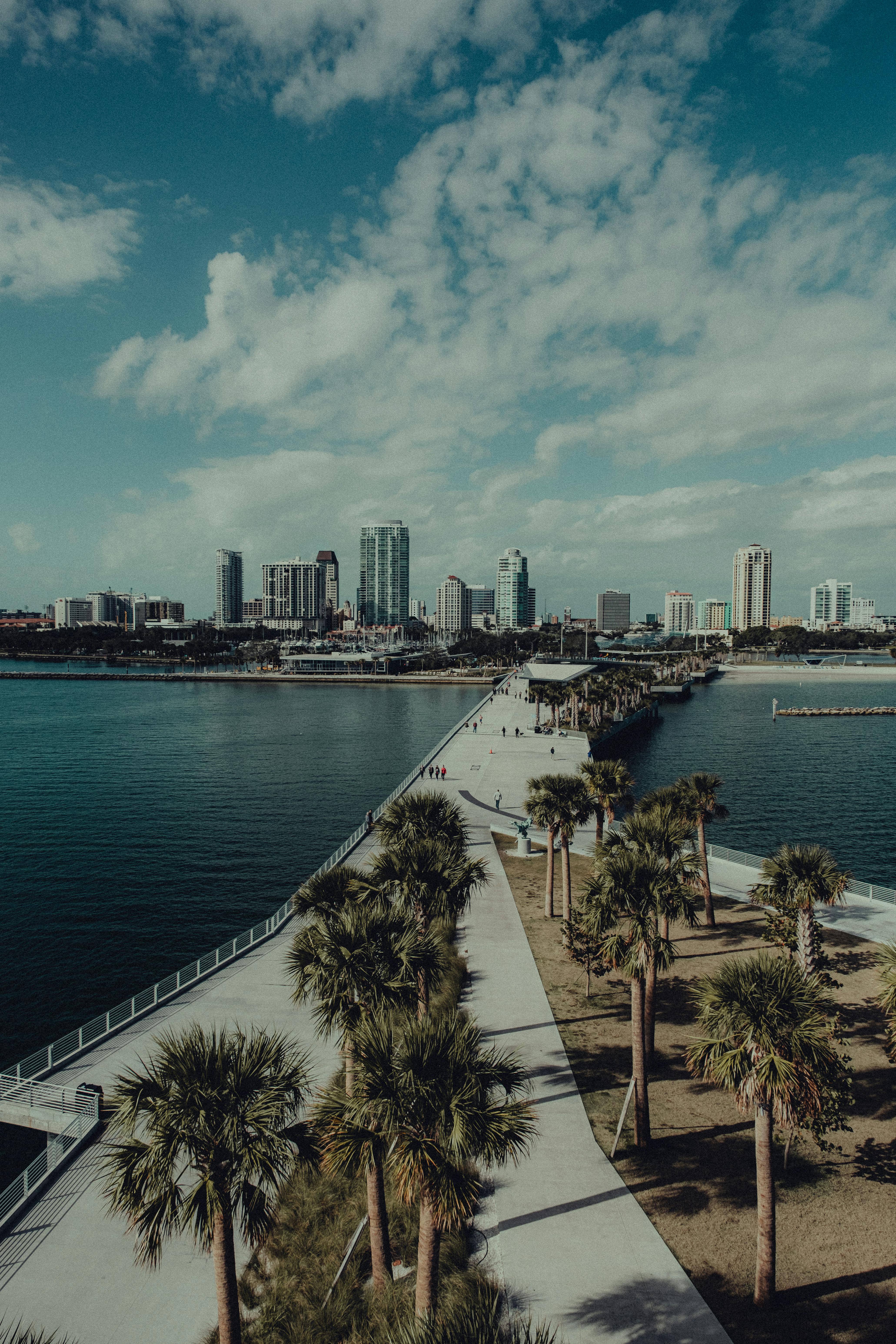 4123x6185 City Waterfront and Palm Trees by a Bridge · Free