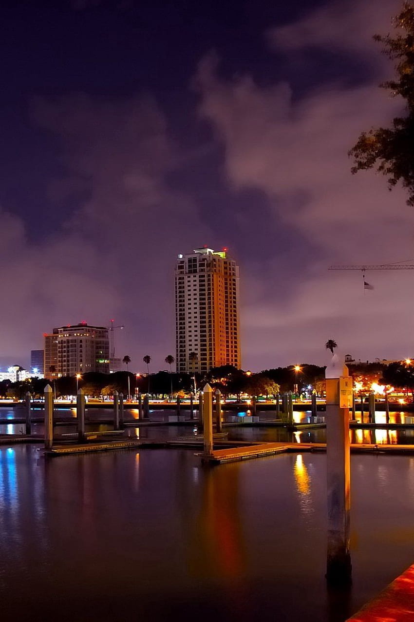 850x1275 Saint petersburg, florida, panorama, Florida Night HD phone wallpaper