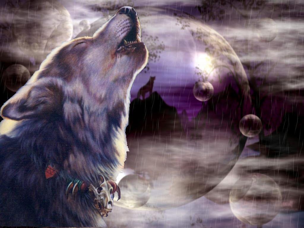 1024x768 Cool Wolf Background